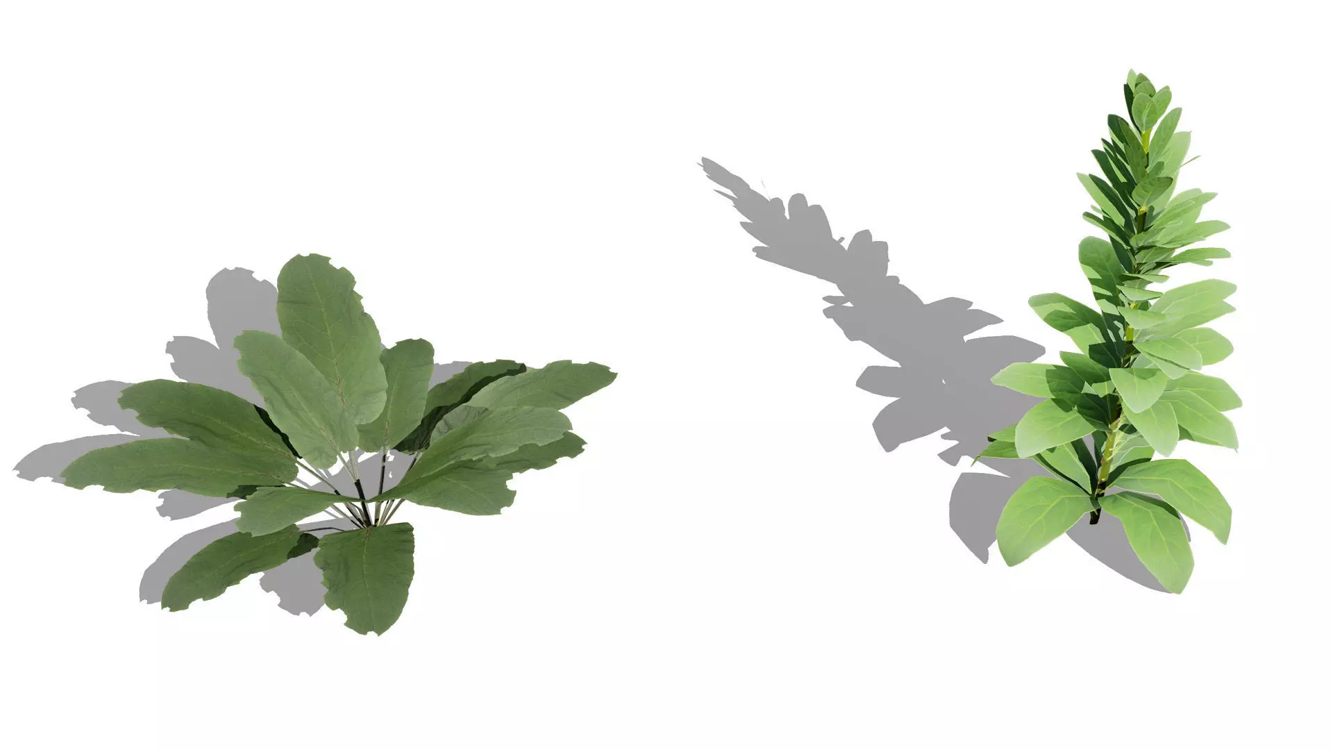 Wild Game Ready Foliage Low-poly 3D model_9