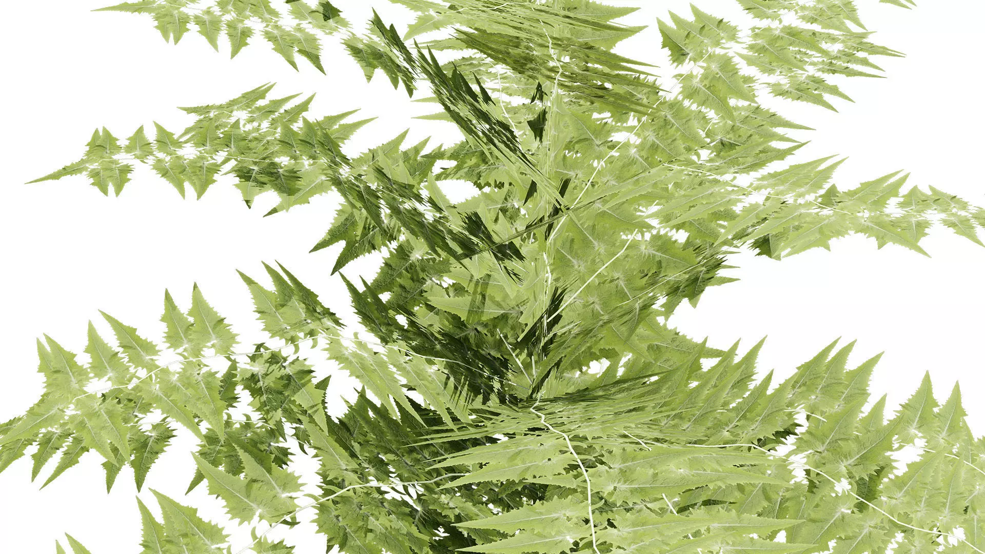 Wild Game Ready Foliage Low-poly 3D model_7