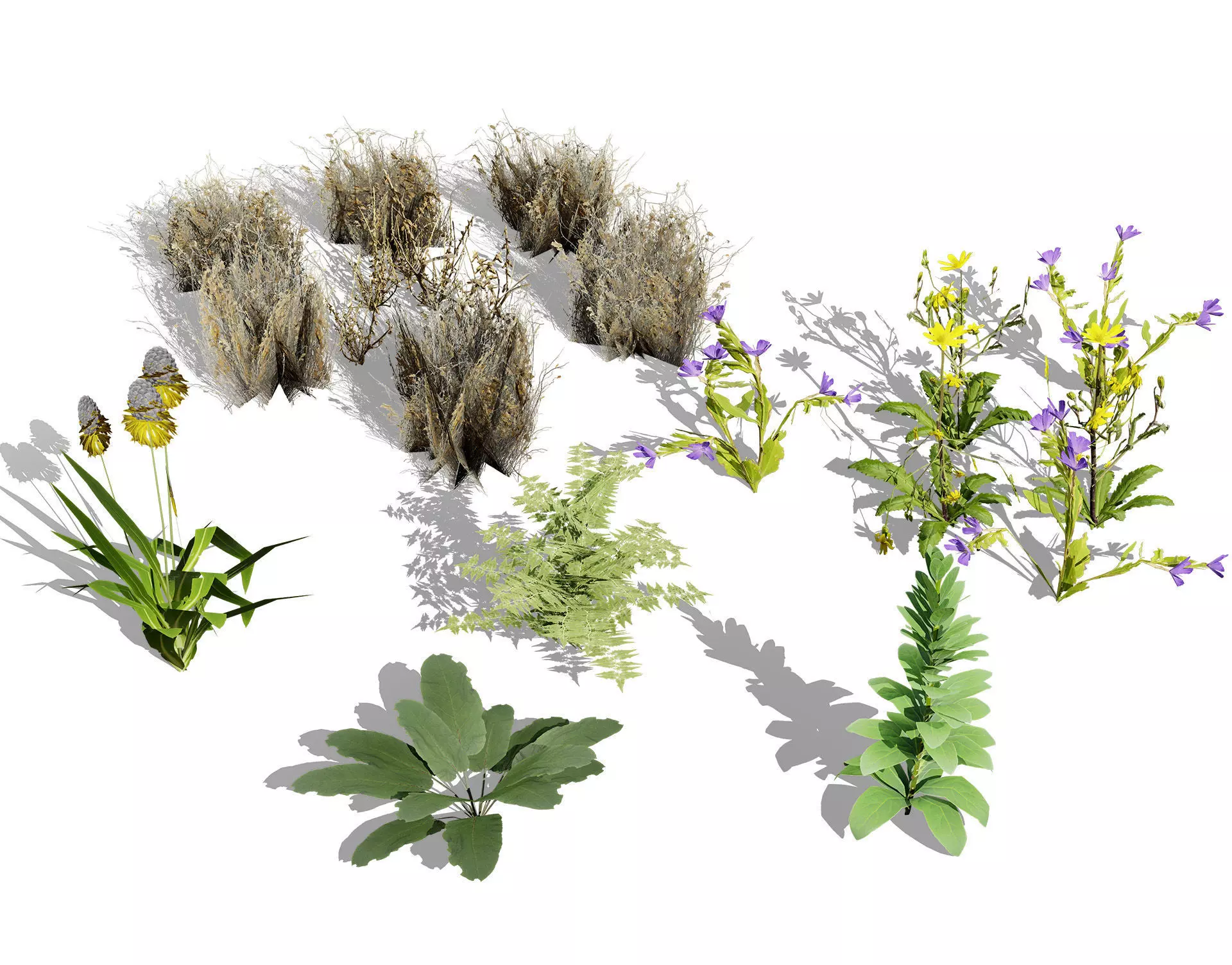 Wild Game Ready Foliage Low-poly 3D model_0