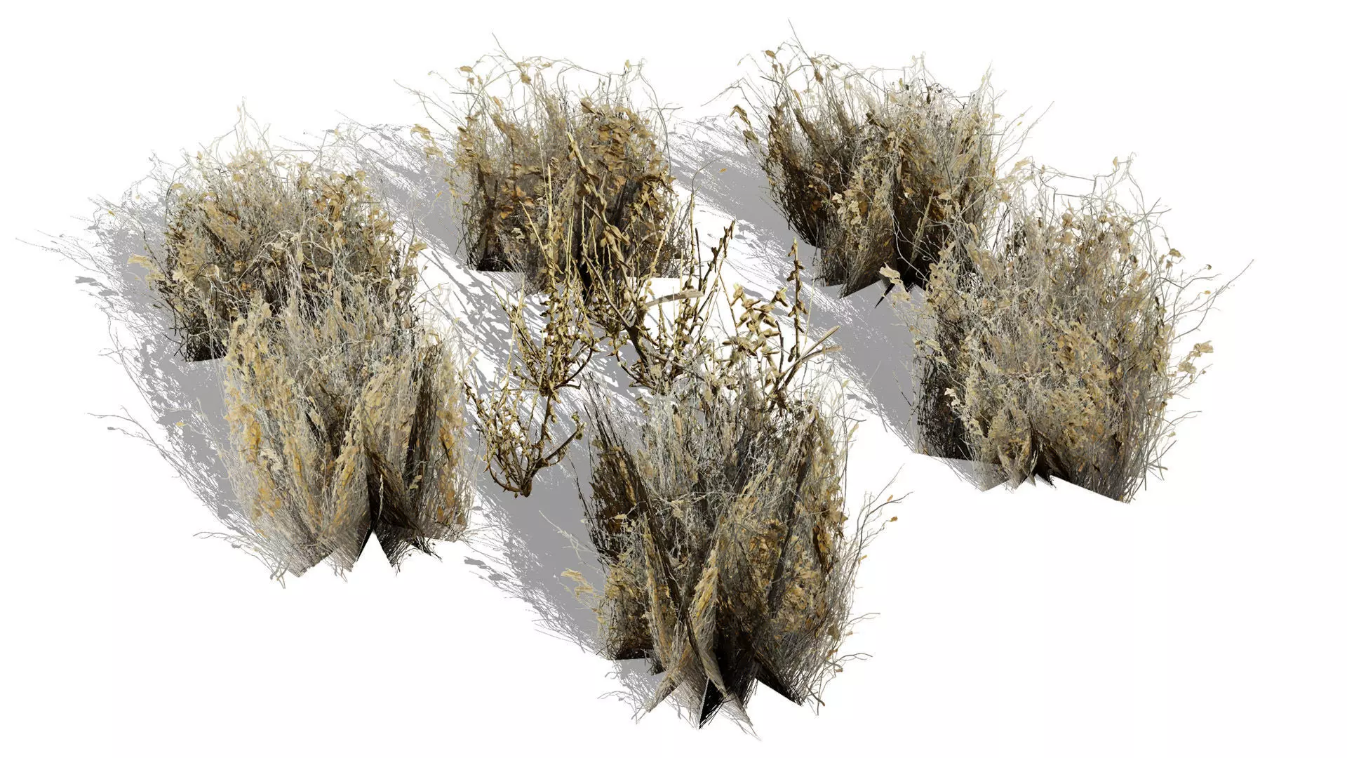 Wild Game Ready Foliage Low-poly 3D model_2