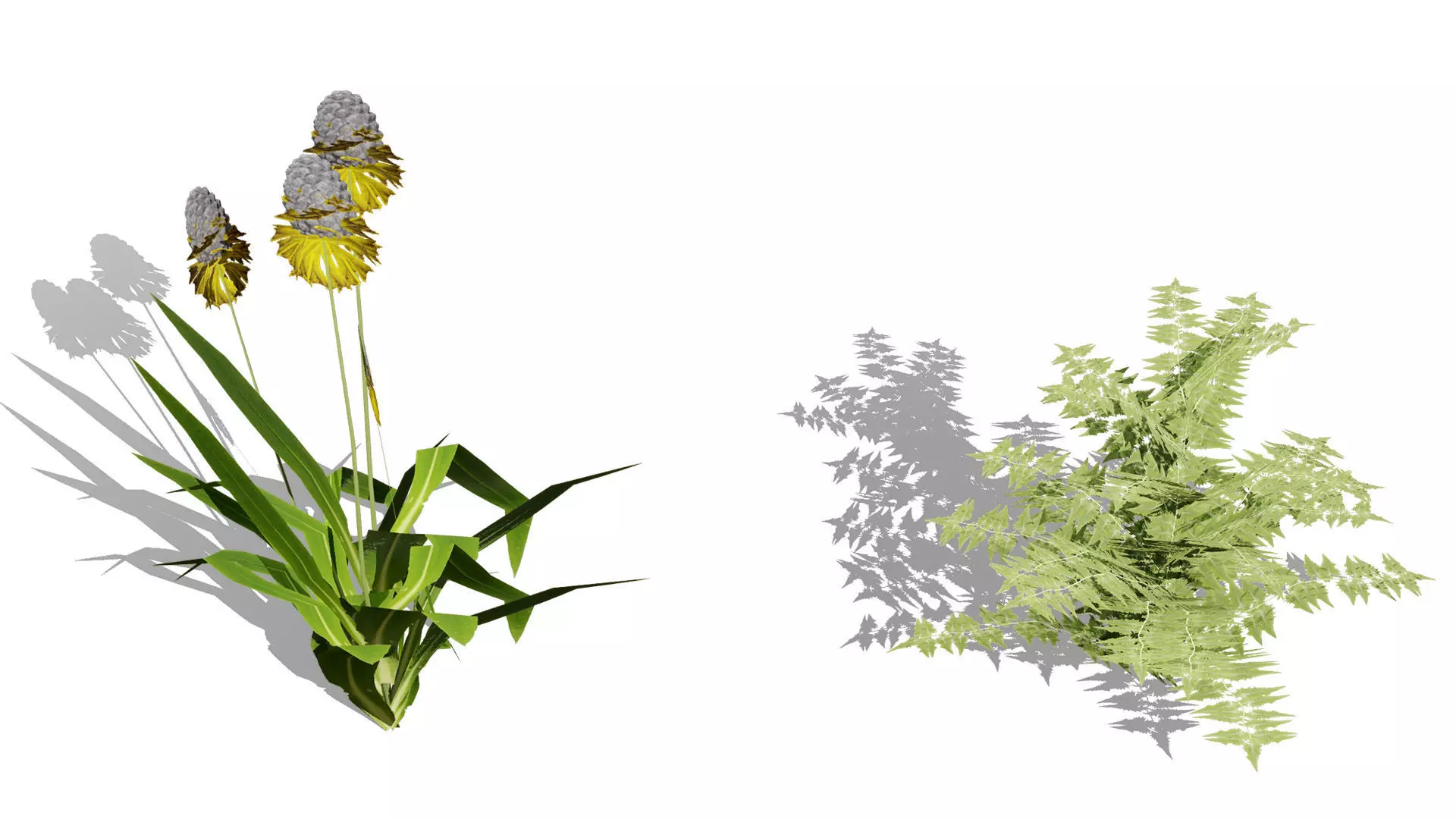 Wild Game Ready Foliage Low-poly 3D model_5