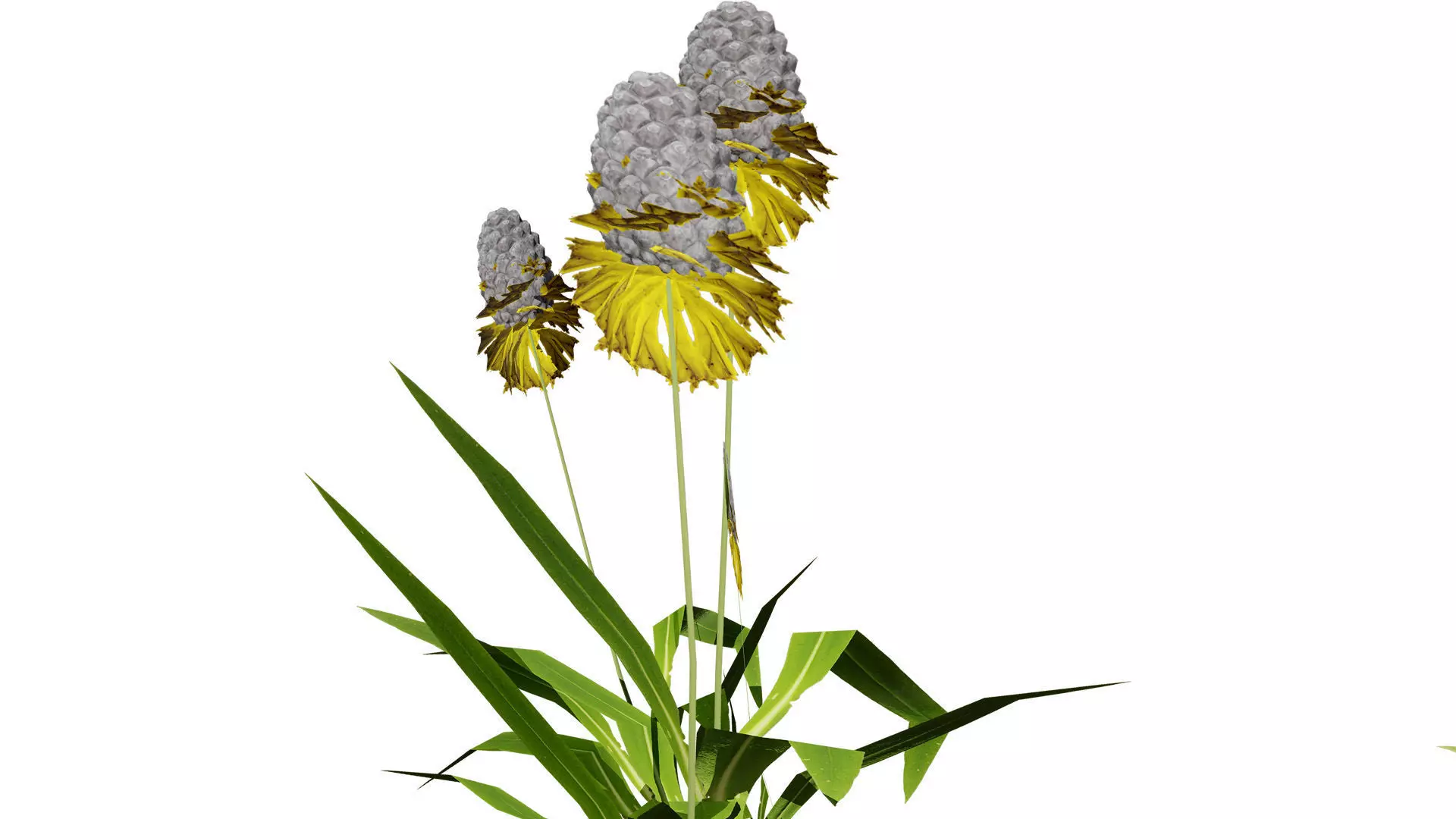 Wild Game Ready Foliage Low-poly 3D model_6