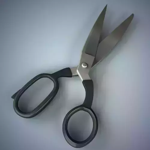 Scissors