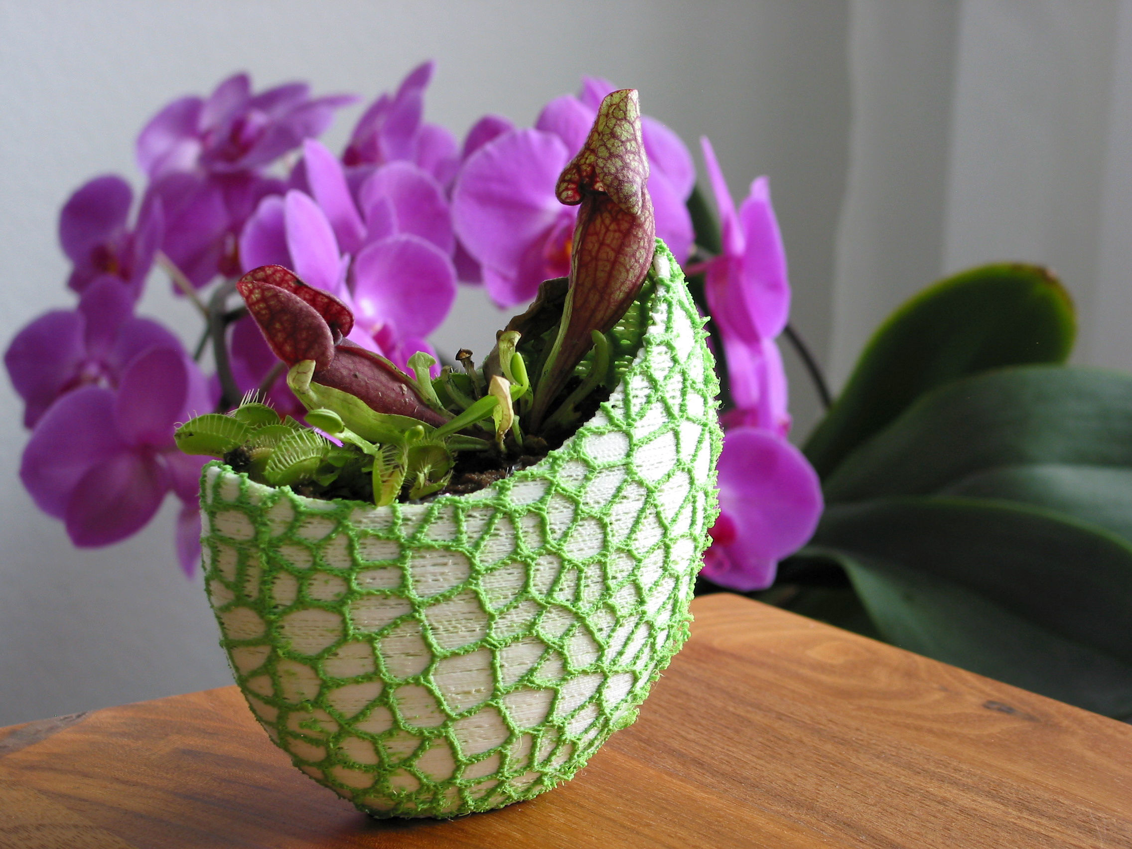 Organic 2-color flower pot - Voronoi Vase 3D print model_5