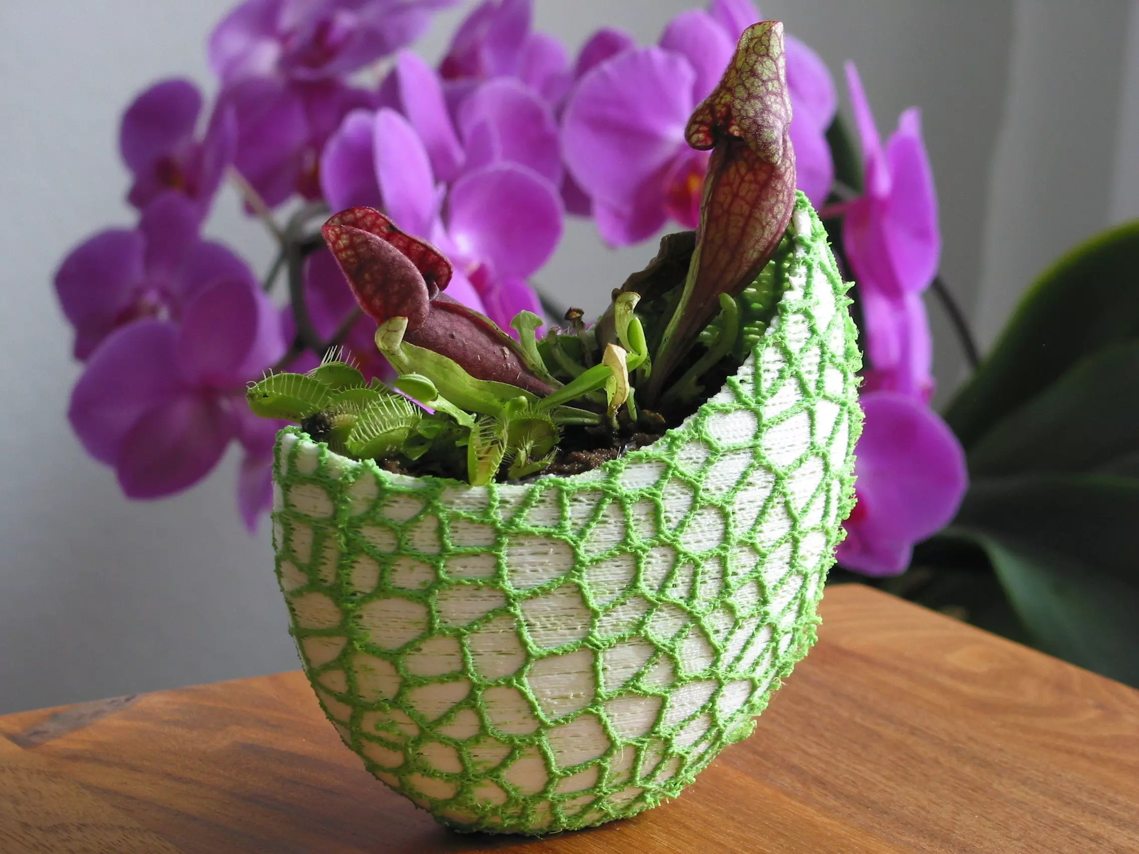 Organic 2-color flower pot - Voronoi Vase 3D print model_0