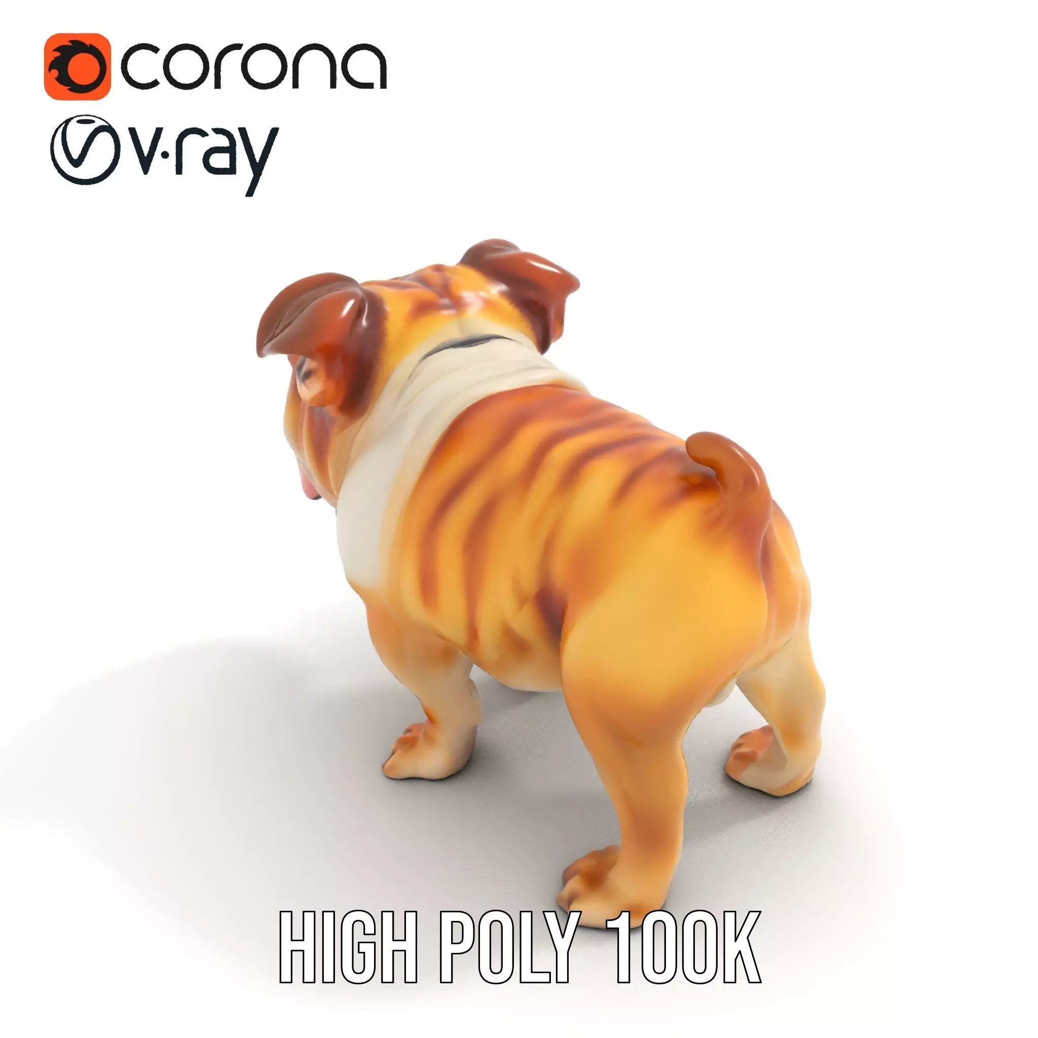 Charming Bulldog model pack Low-poly 3D model_23