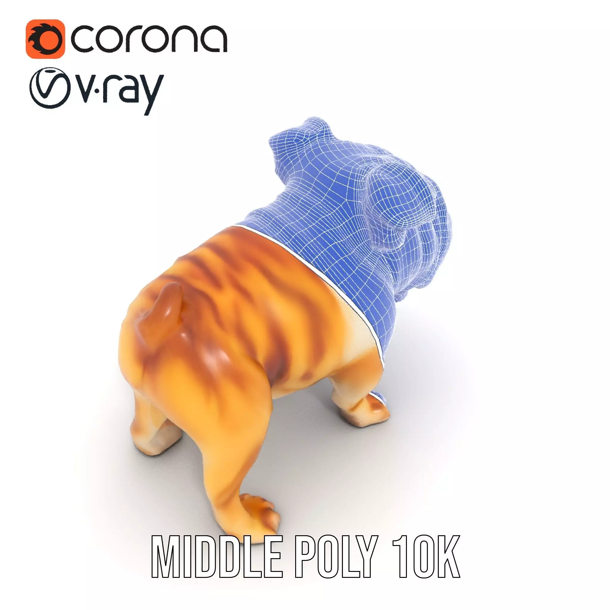 Charming Bulldog model pack Low-poly 3D model_29