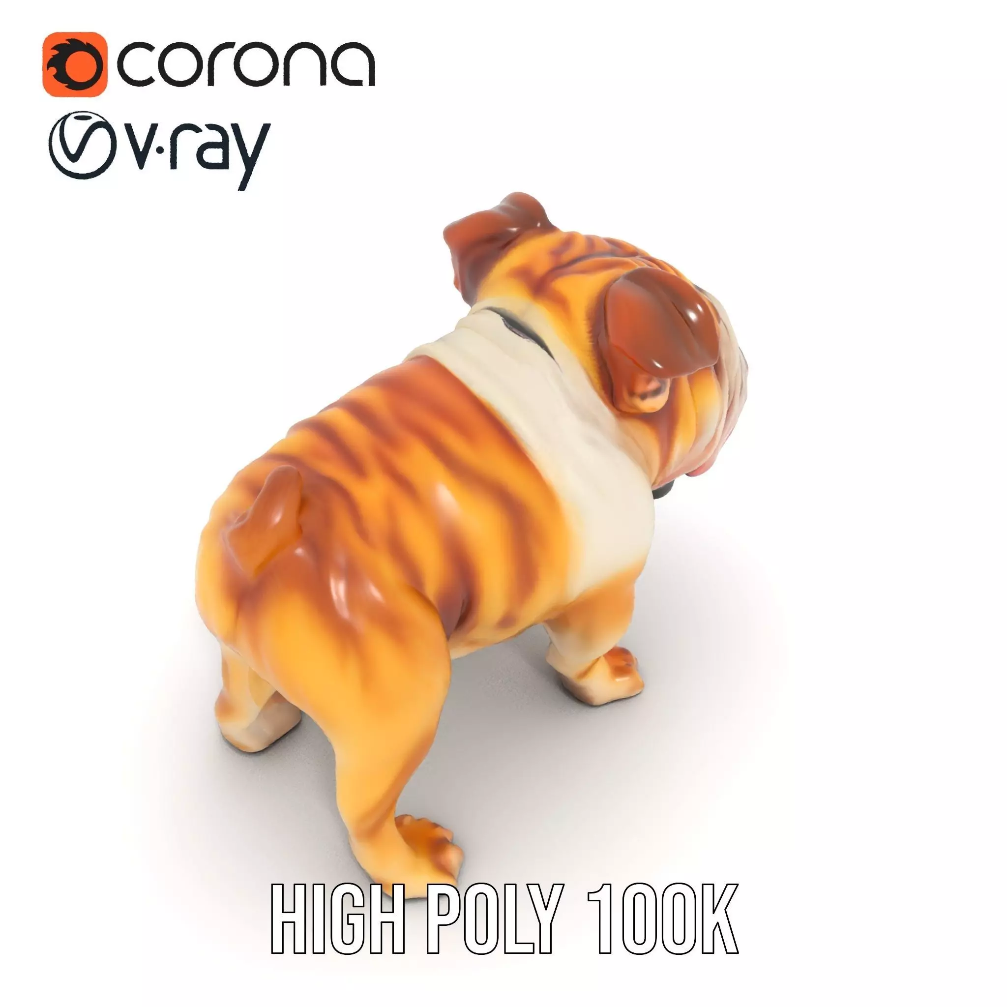 Charming Bulldog model pack Low-poly 3D model_32