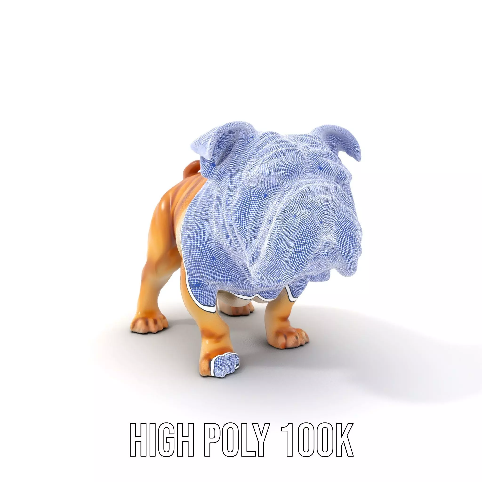 Charming Bulldog model pack Low-poly 3D model_4