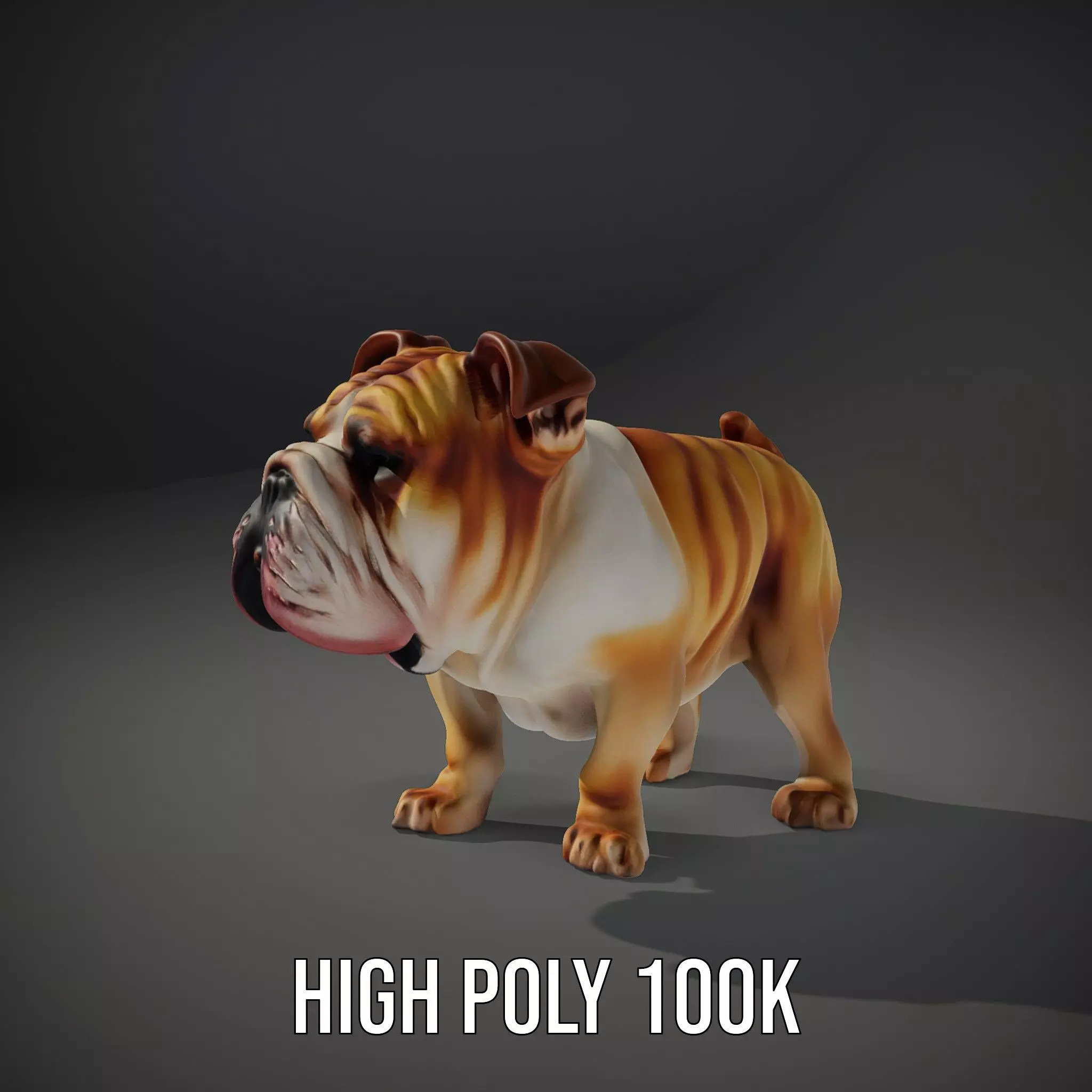 Charming Bulldog model pack Low-poly 3D model_10