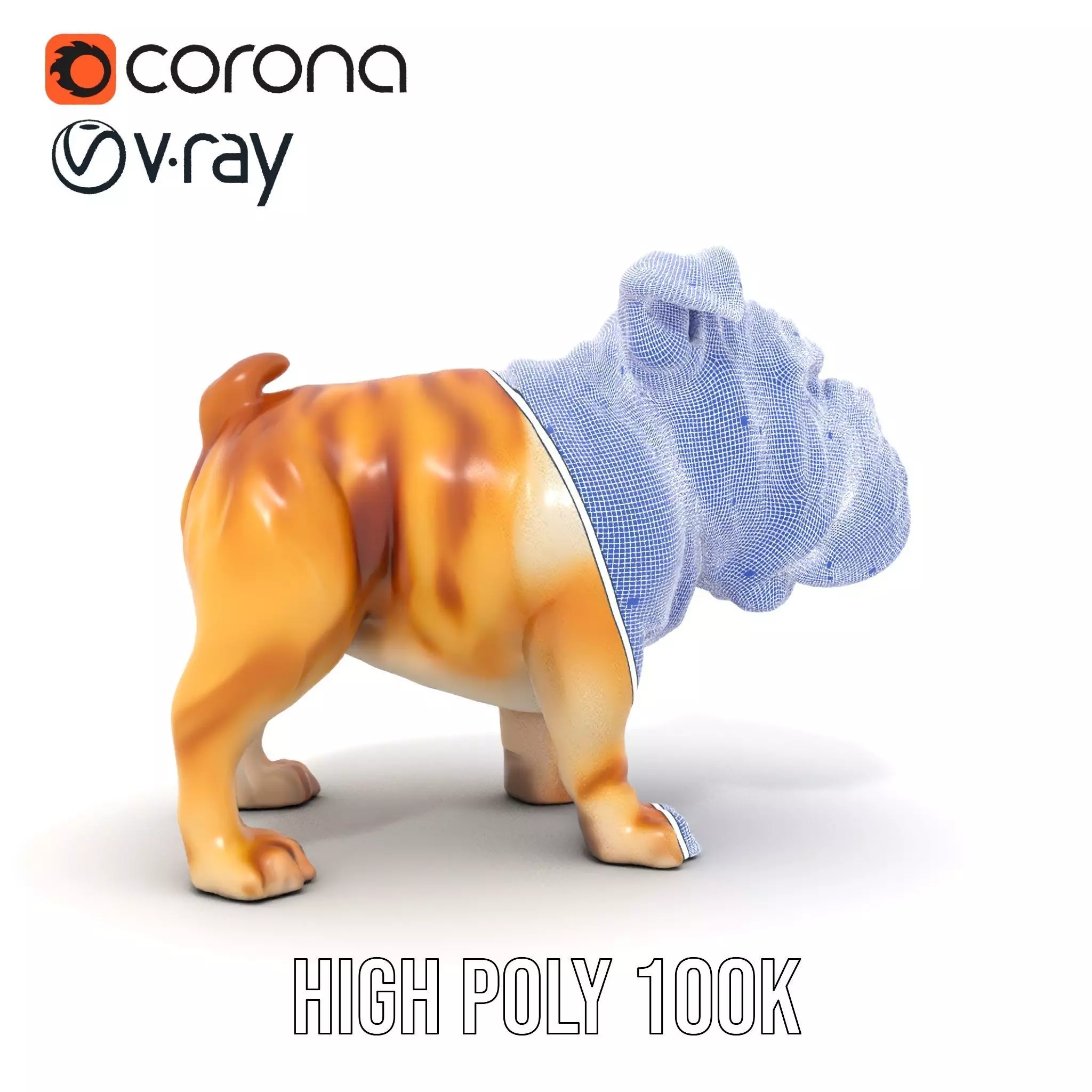 Charming Bulldog model pack Low-poly 3D model_34