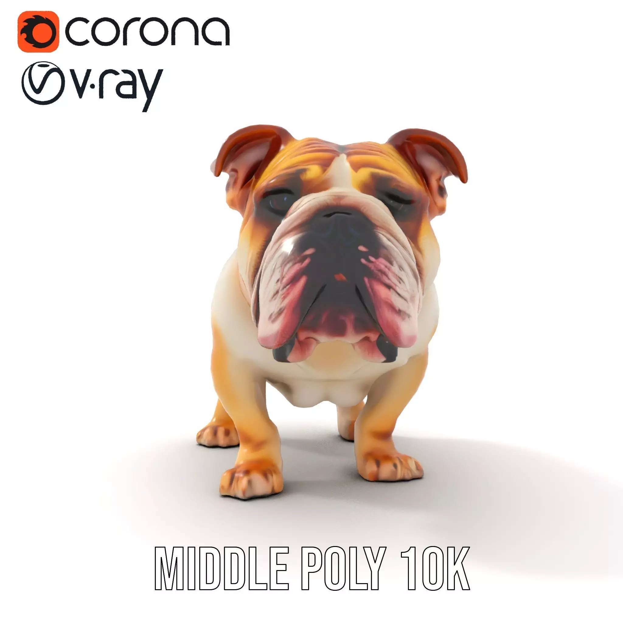 Charming Bulldog model pack Low-poly 3D model_6