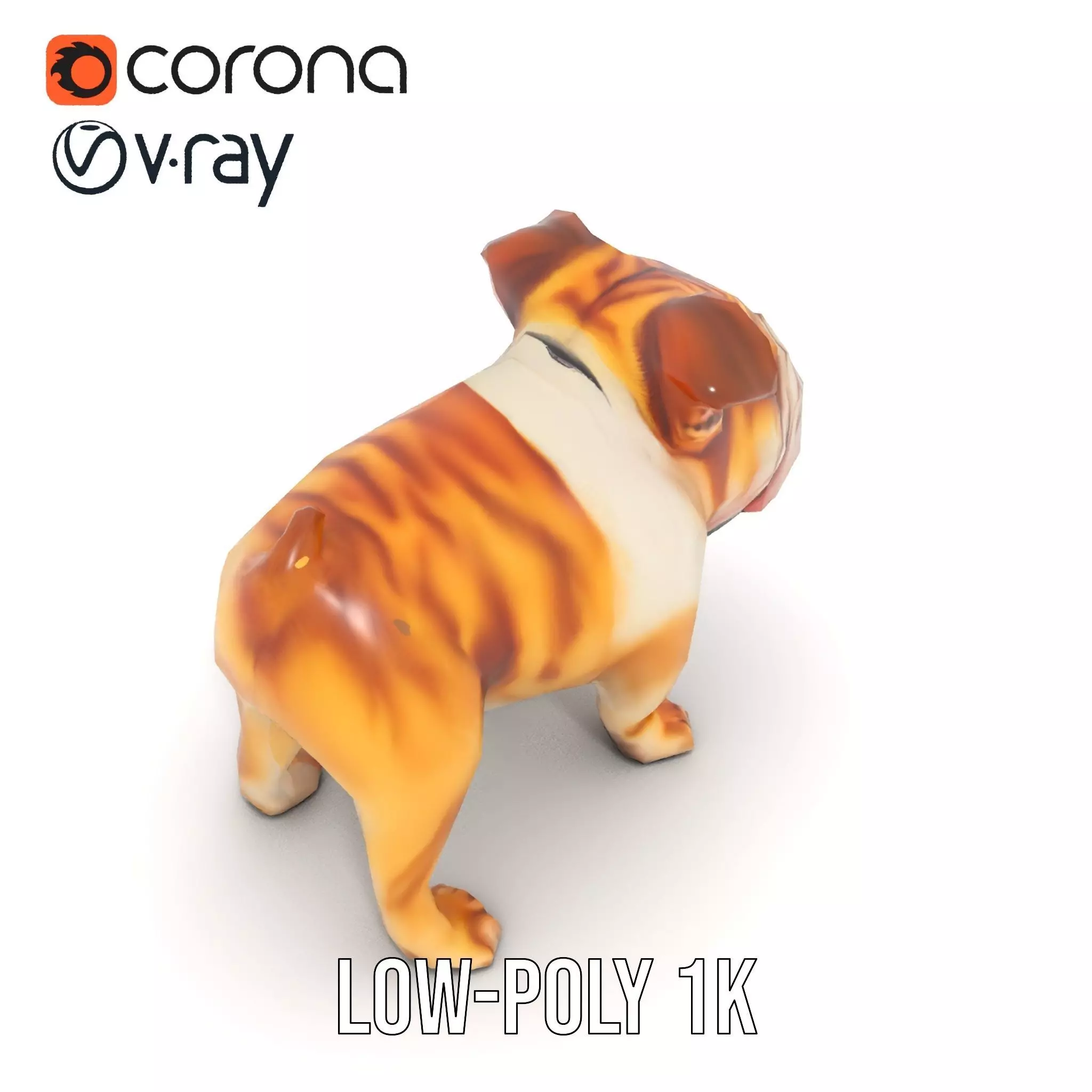 Charming Bulldog model pack Low-poly 3D model_22