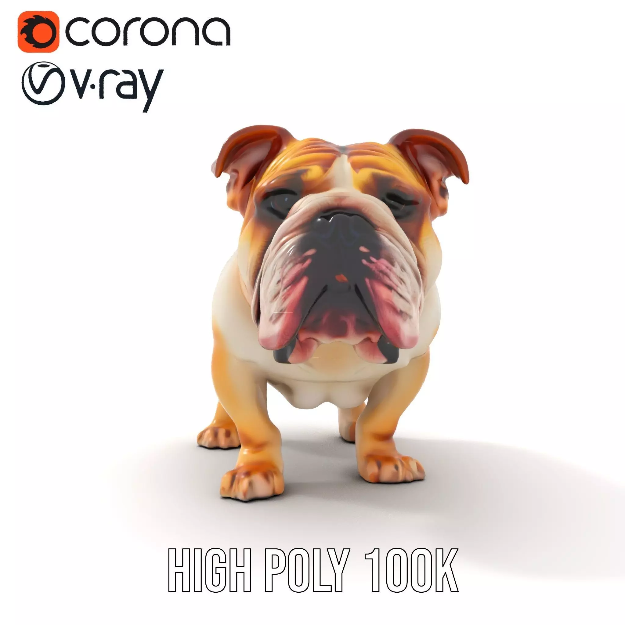 Charming Bulldog model pack Low-poly 3D model_31