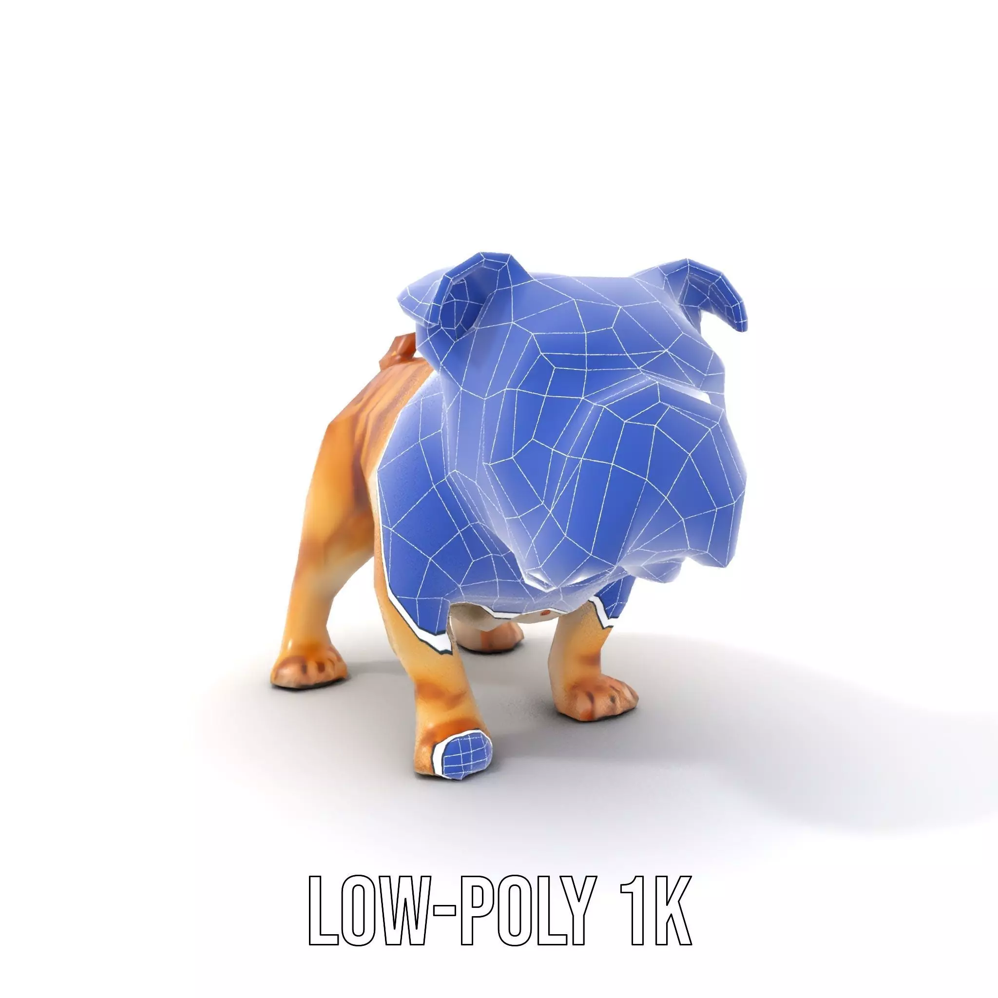 Charming Bulldog model pack Low-poly 3D model_14