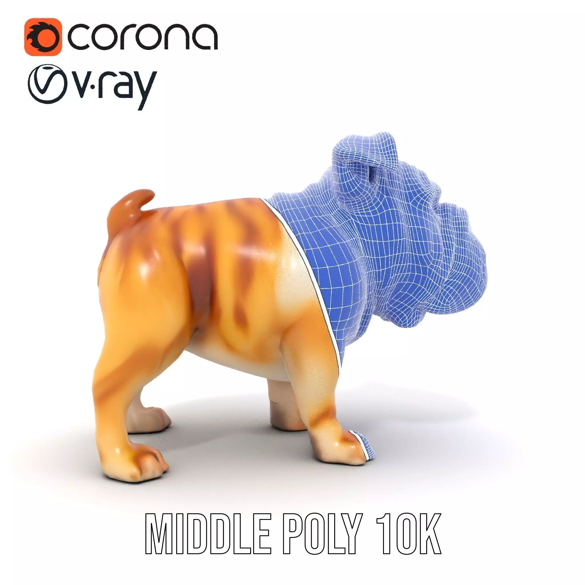 Charming Bulldog model pack Low-poly 3D model_21