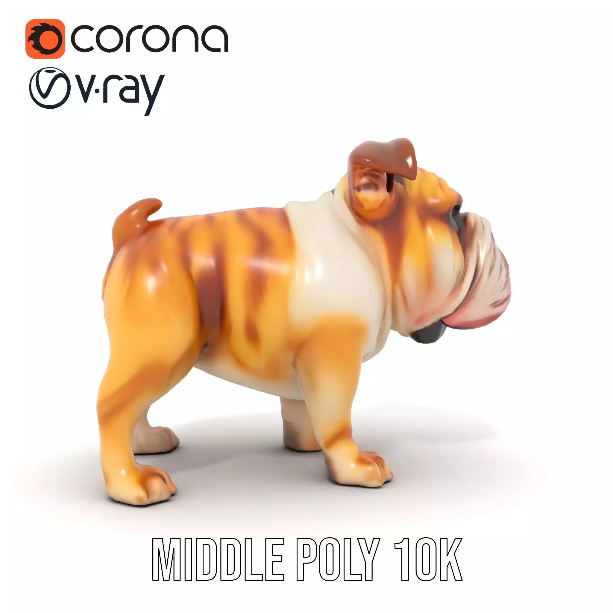 Charming Bulldog model pack Low-poly 3D model_18