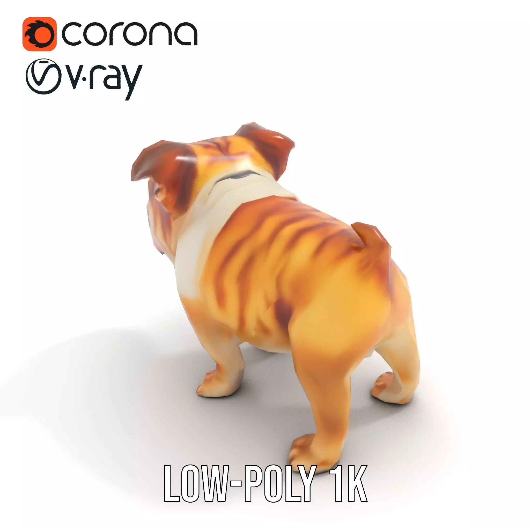 Charming Bulldog model pack Low-poly 3D model_19