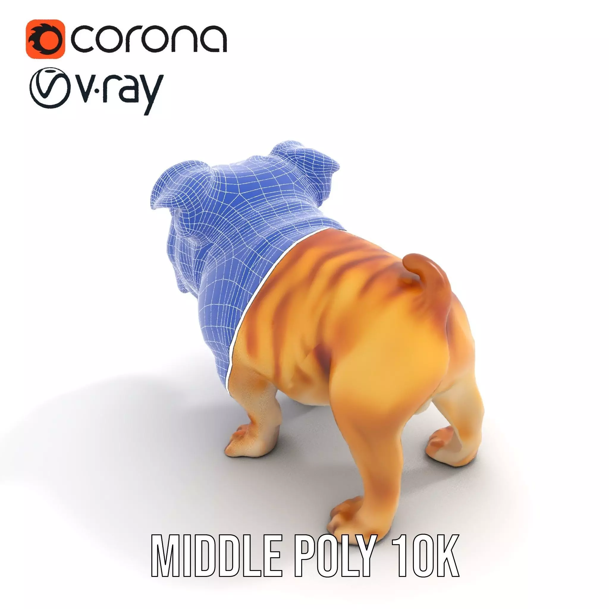 Charming Bulldog model pack Low-poly 3D model_24