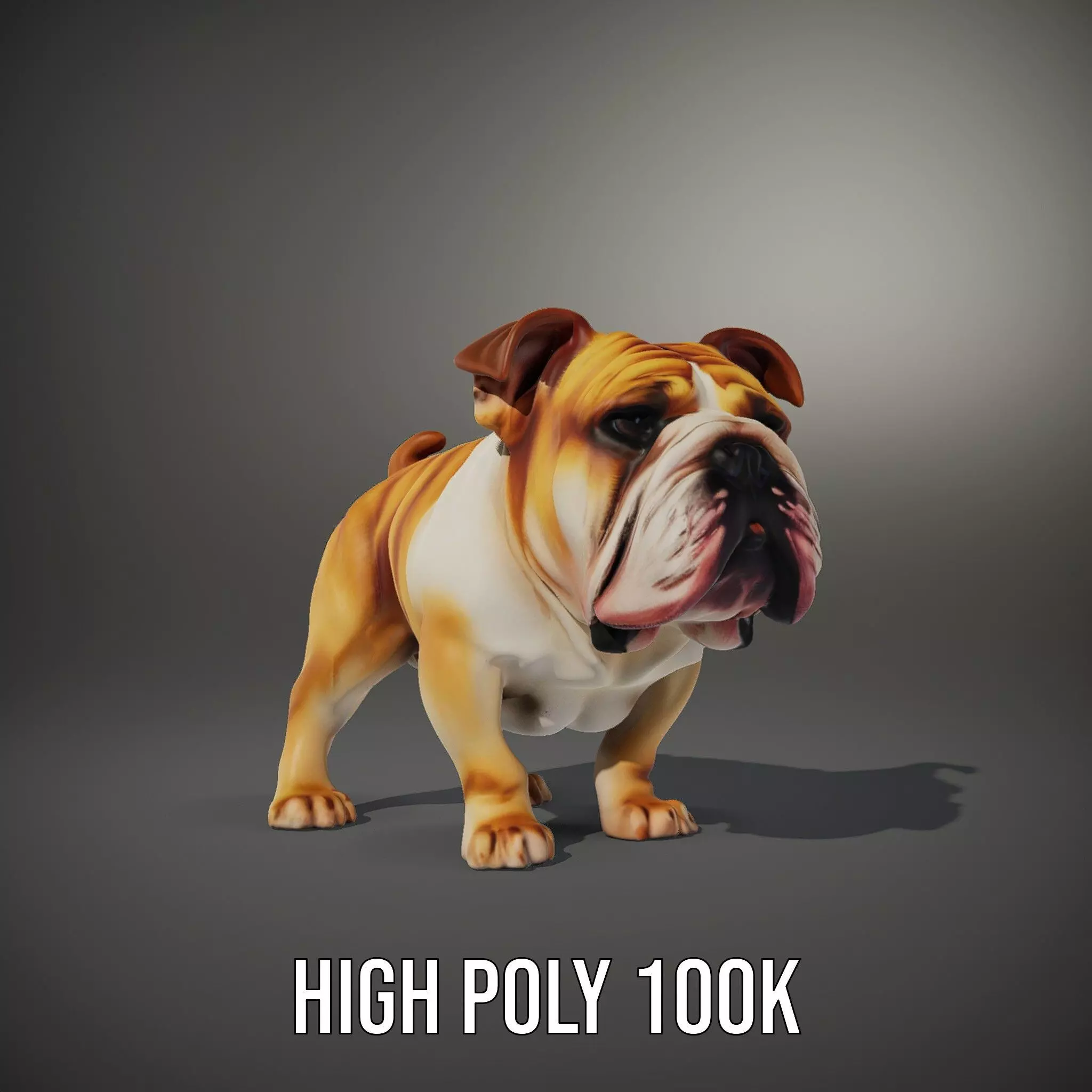 Charming Bulldog model pack Low-poly 3D model_8