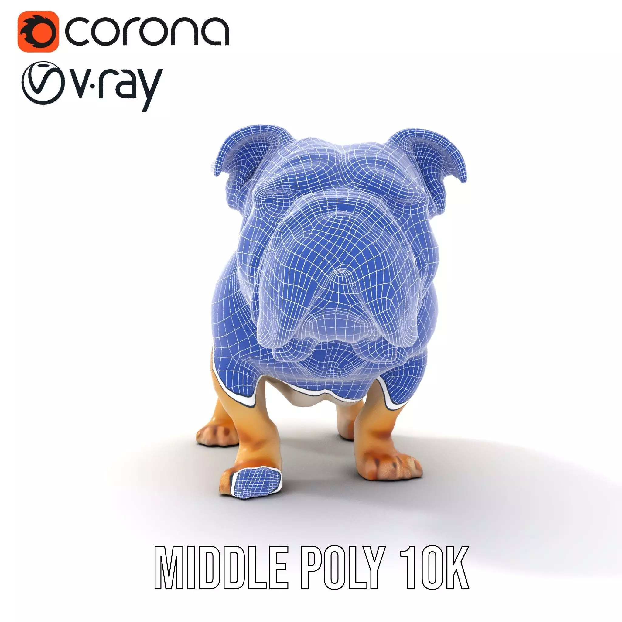 Charming Bulldog model pack Low-poly 3D model_26