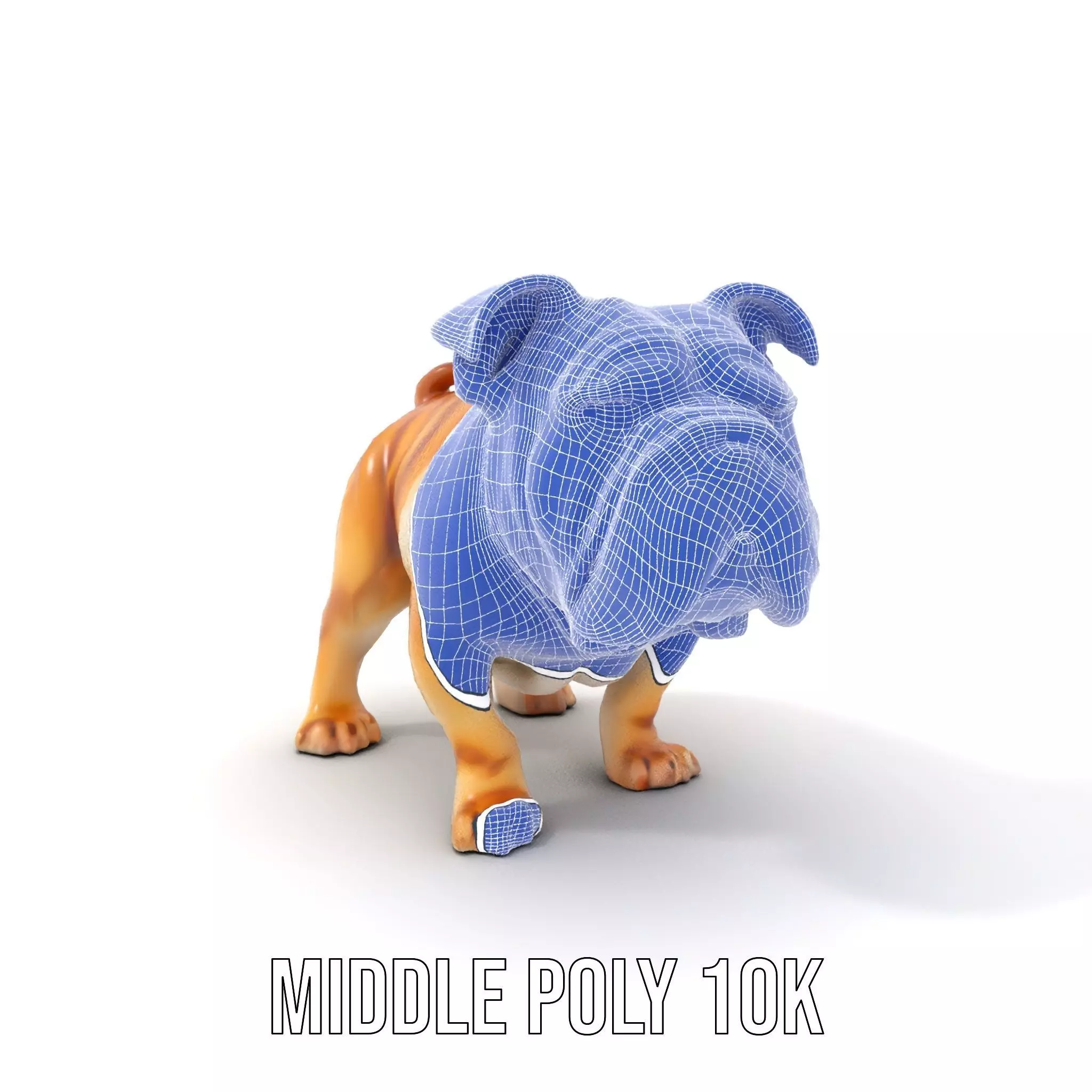 Charming Bulldog model pack Low-poly 3D model_11