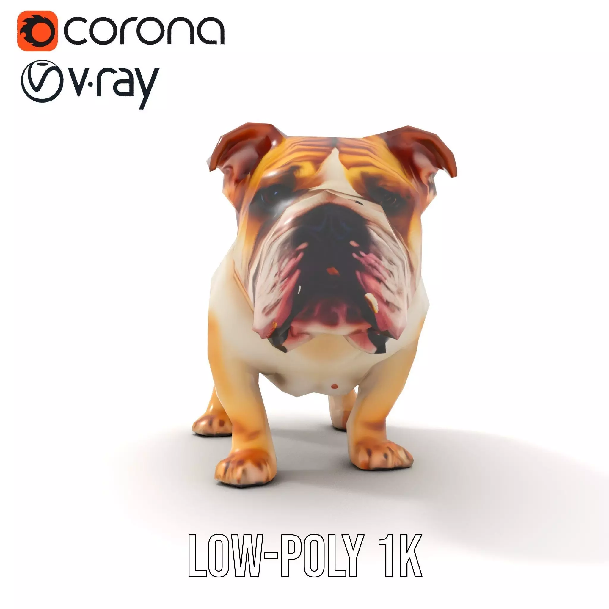 Charming Bulldog model pack Low-poly 3D model_9