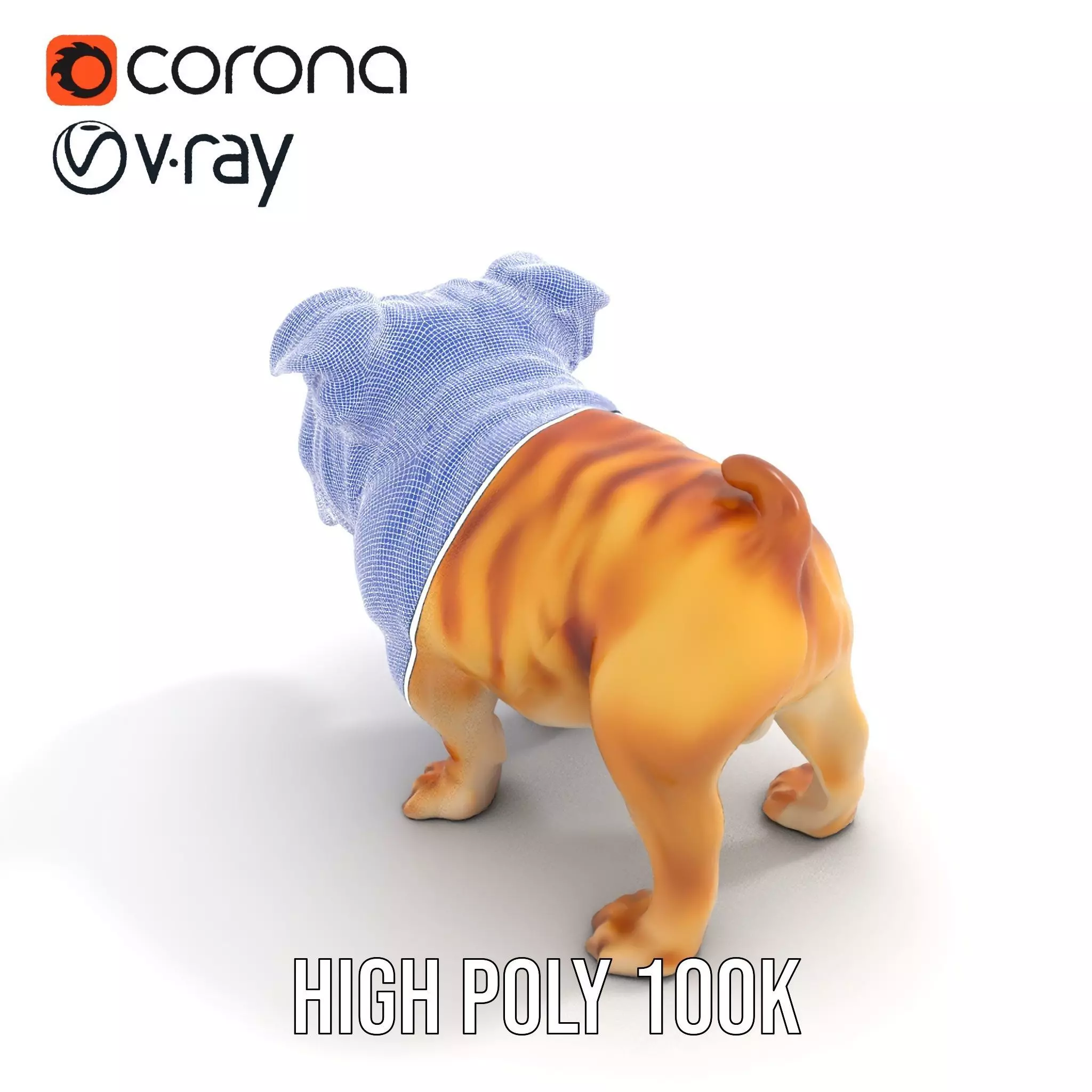 Charming Bulldog model pack Low-poly 3D model_28