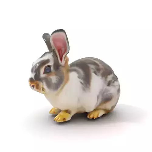 Fluffy Brown Bunny model pack Low-poly 3D model