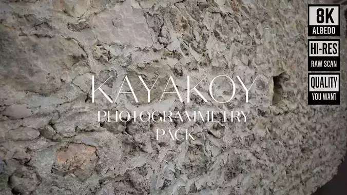 Abandoned Village Surface Scan - Stone Wall 15