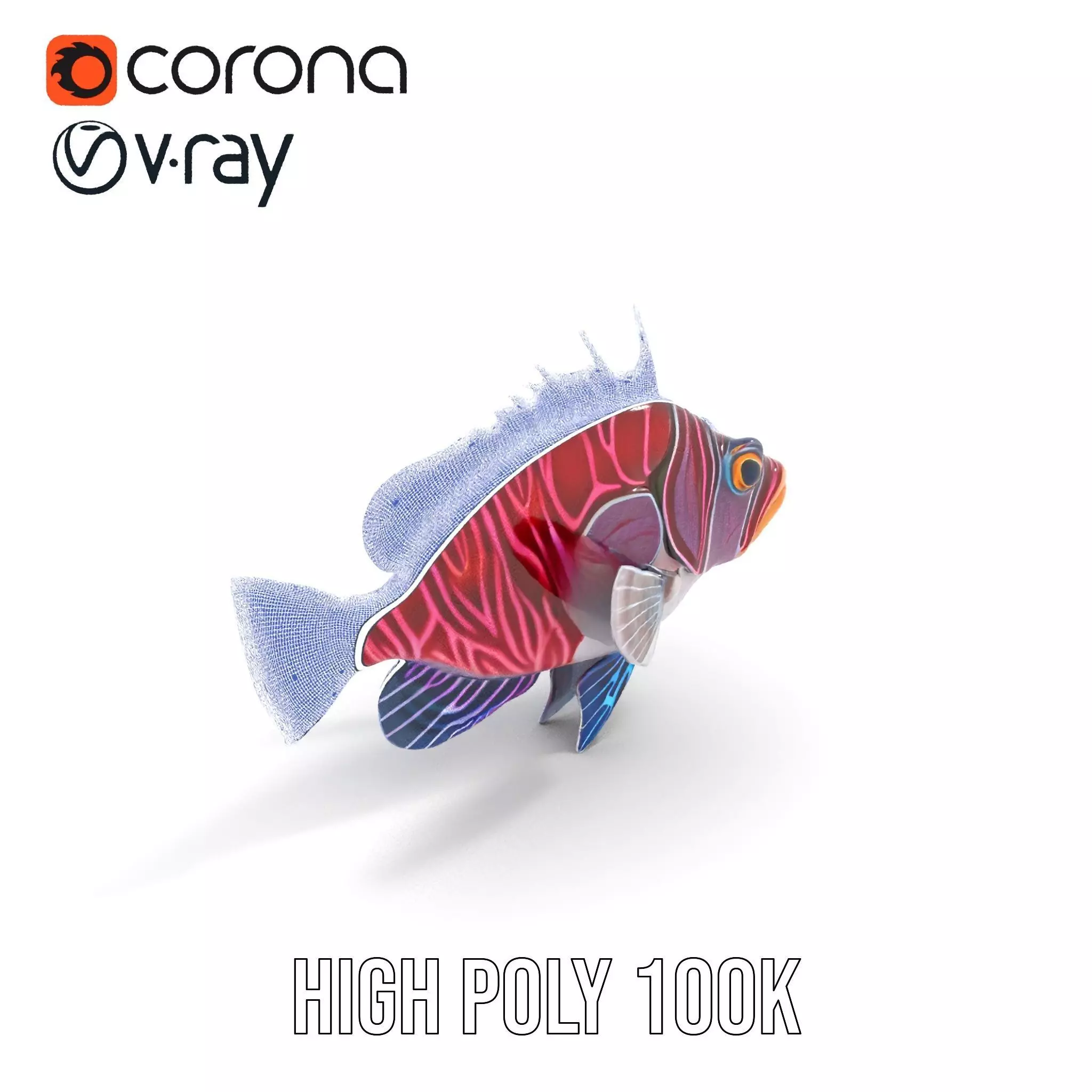 Vibrant Fish model pack Low-poly 3D model_17