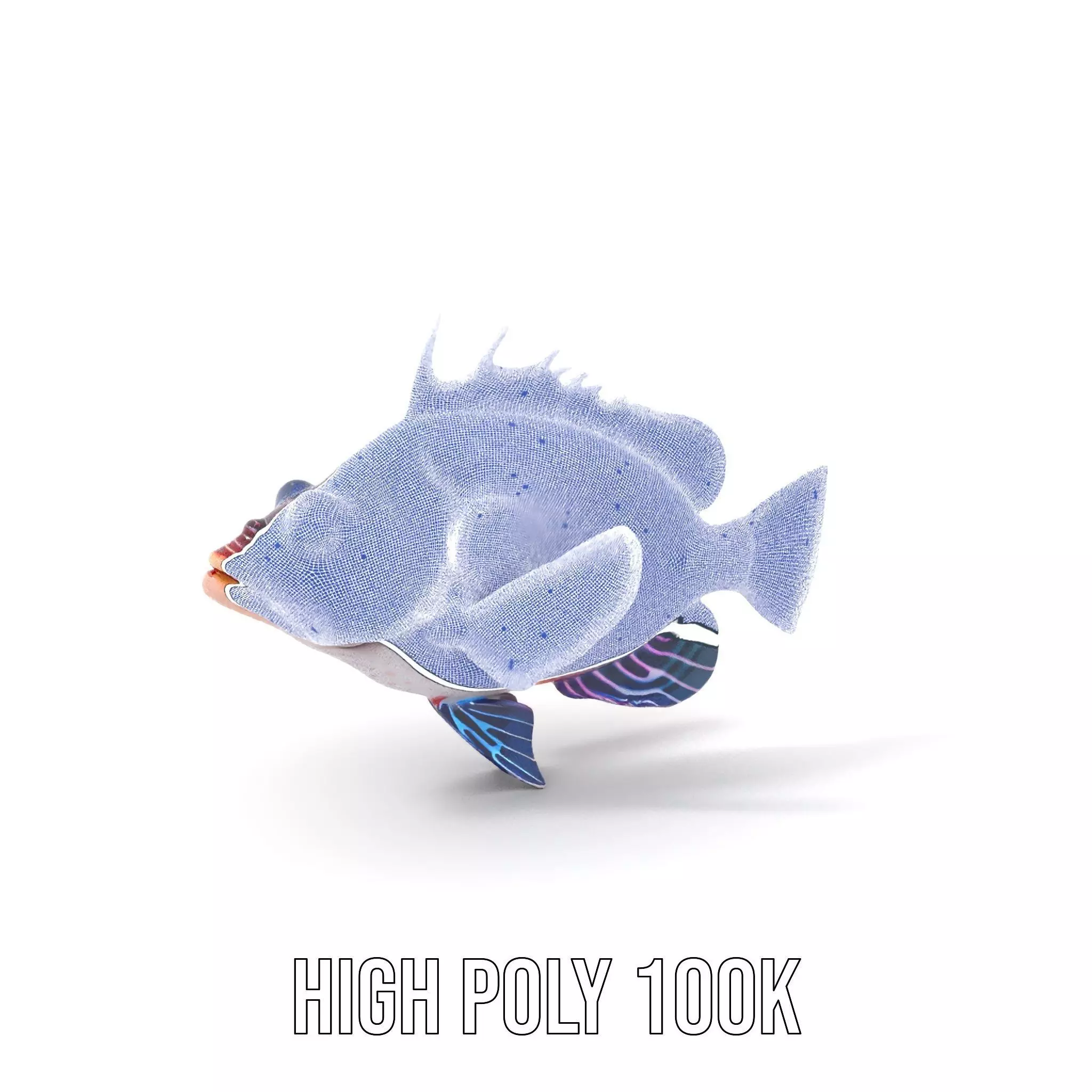 Vibrant Fish model pack Low-poly 3D model_4