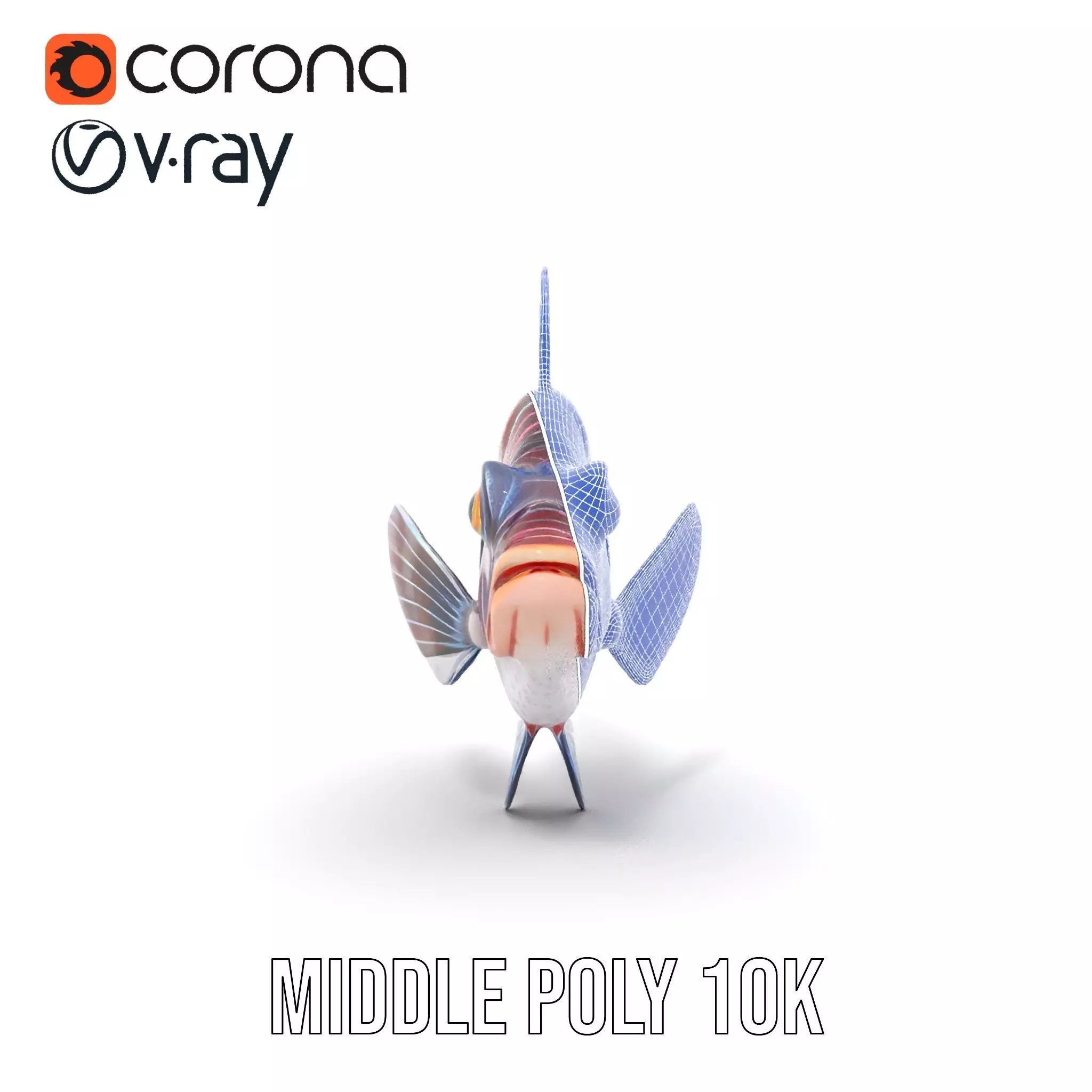 Vibrant Fish model pack Low-poly 3D model_29