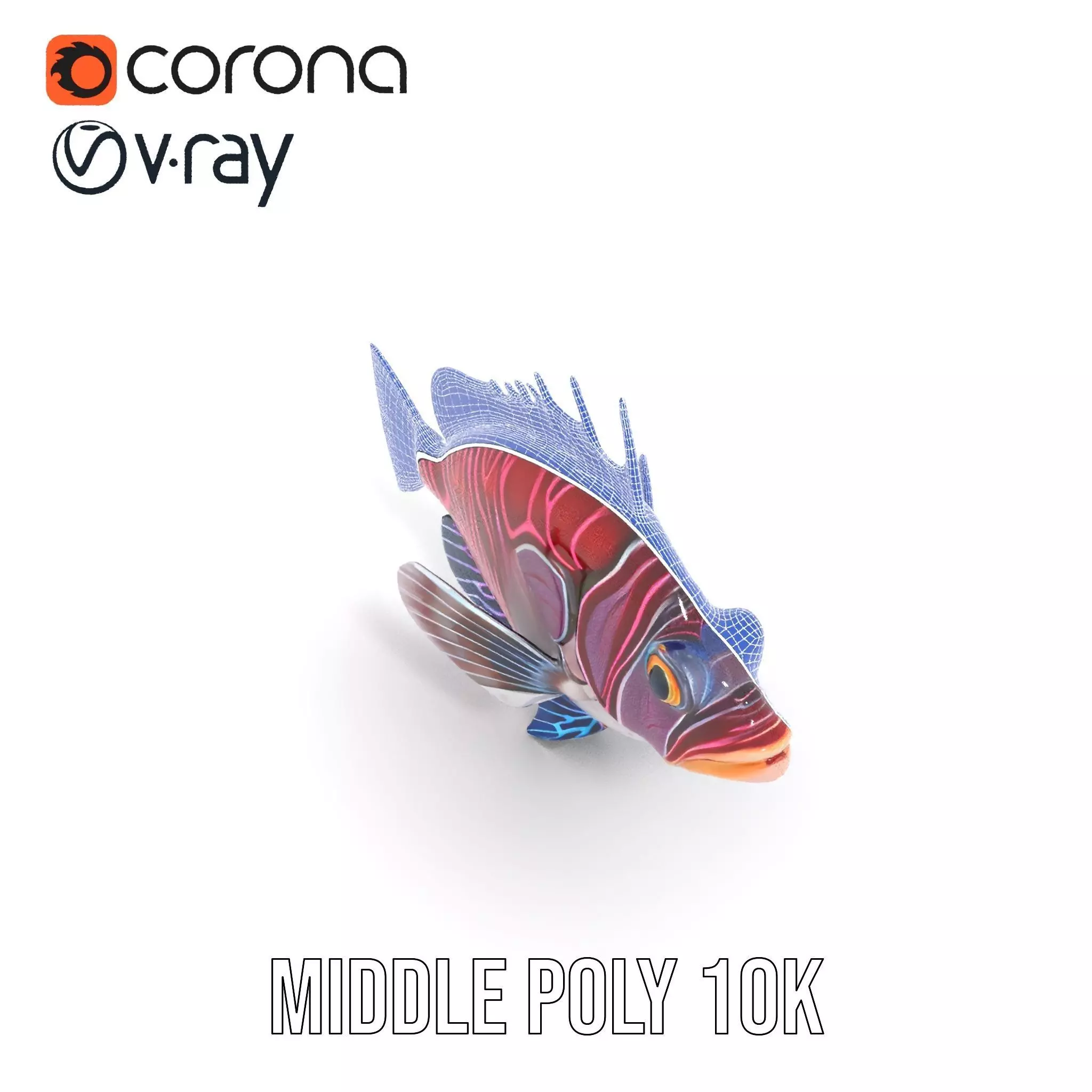 Vibrant Fish model pack Low-poly 3D model_20