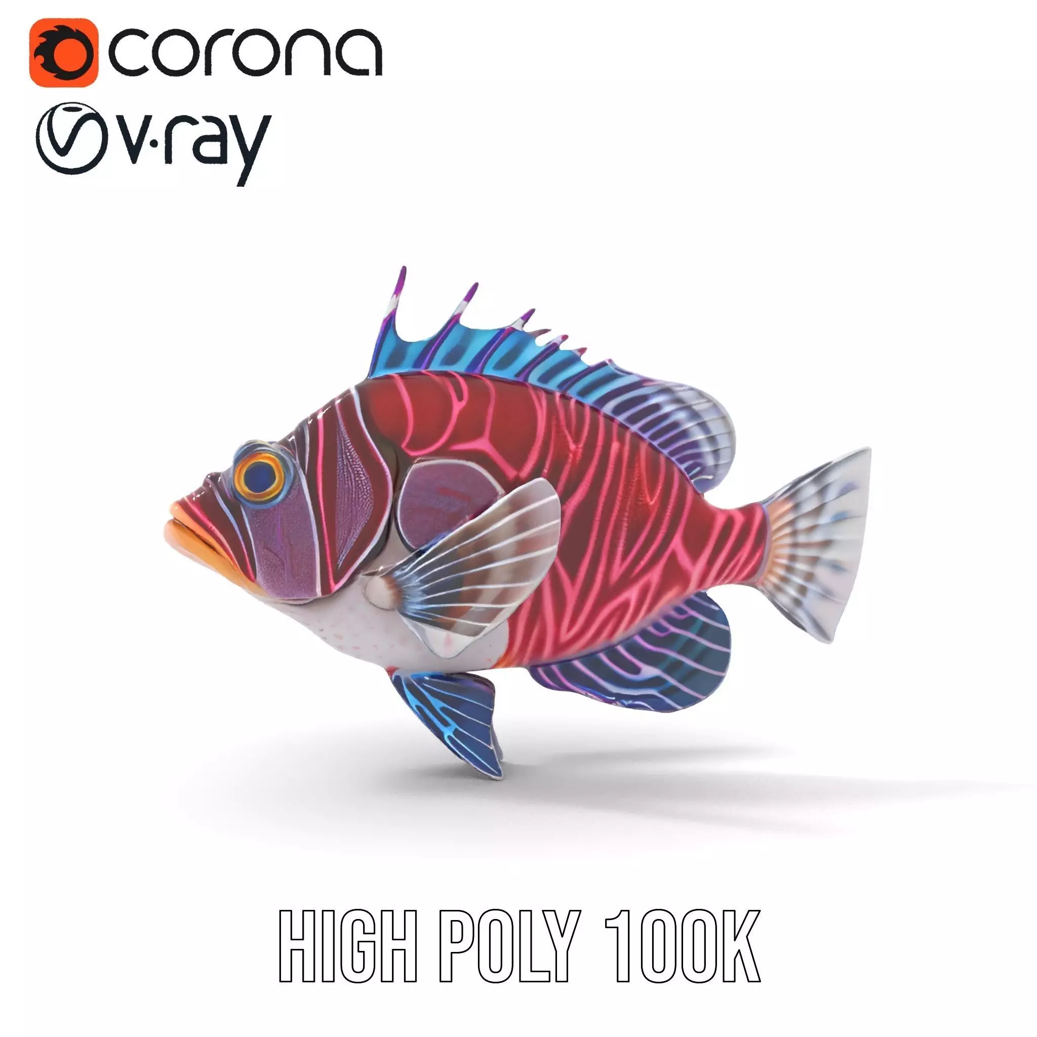 Vibrant Fish model pack Low-poly 3D model_31