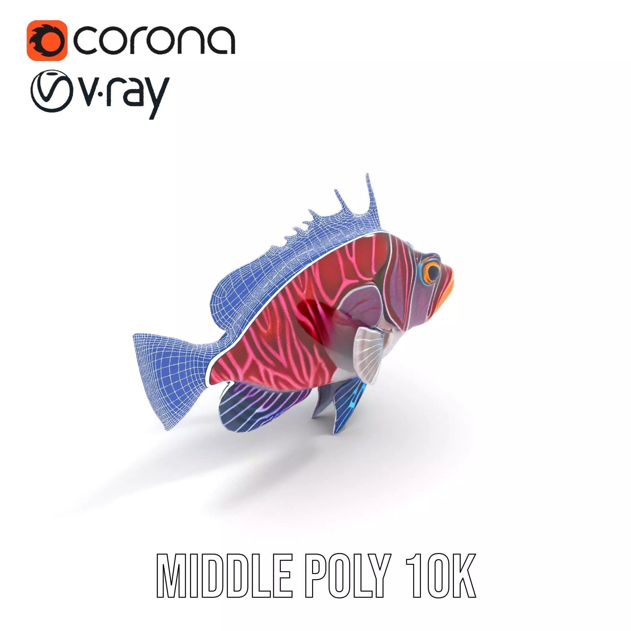 Vibrant Fish model pack Low-poly 3D model_18