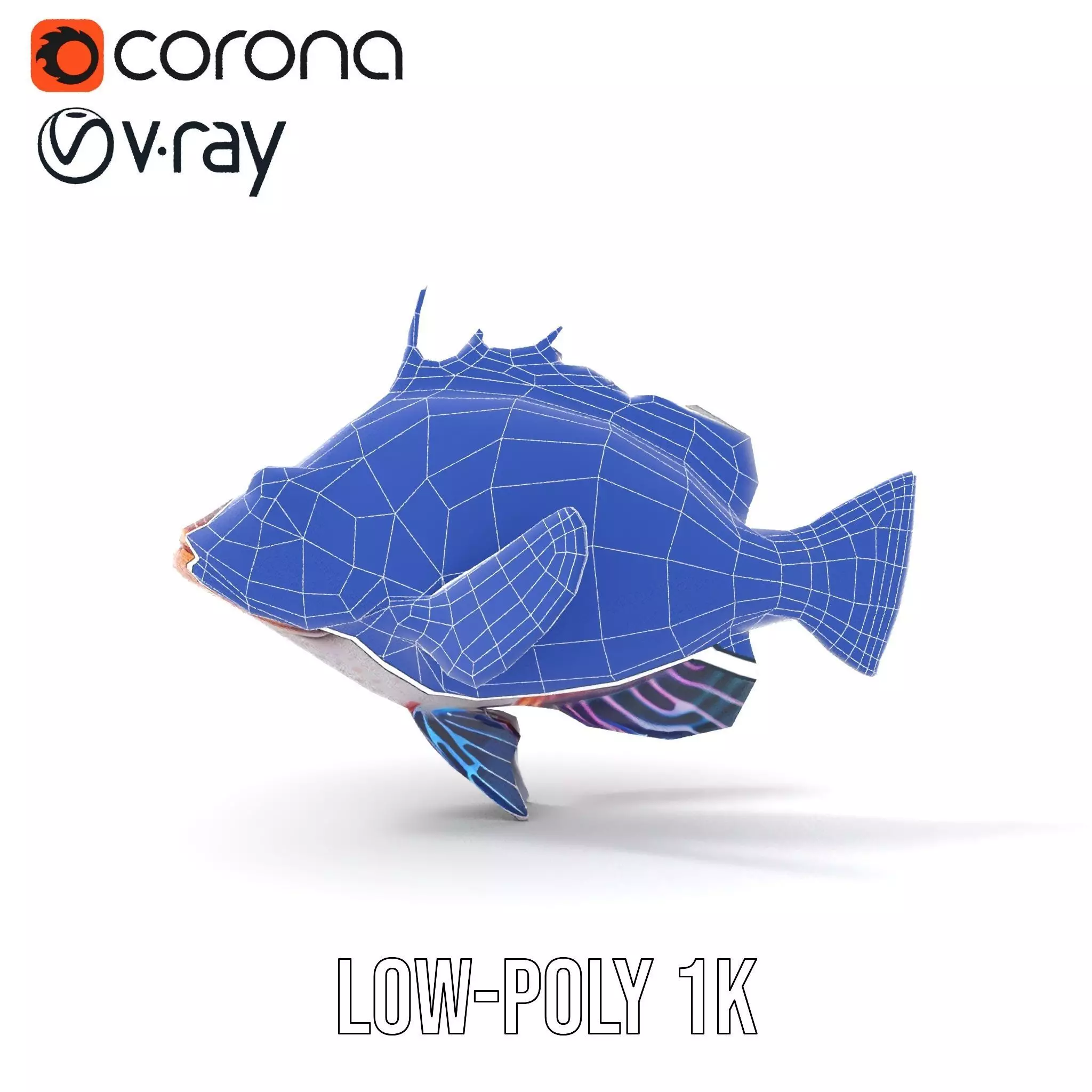 Vibrant Fish model pack Low-poly 3D model_30