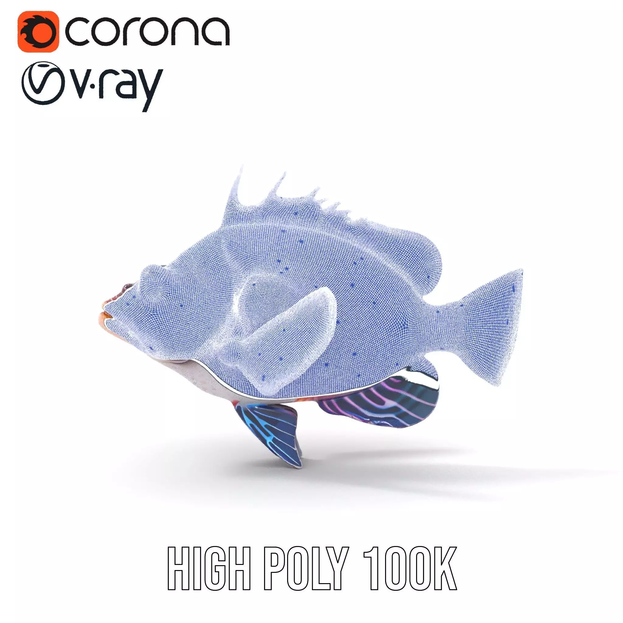 Vibrant Fish model pack Low-poly 3D model_34