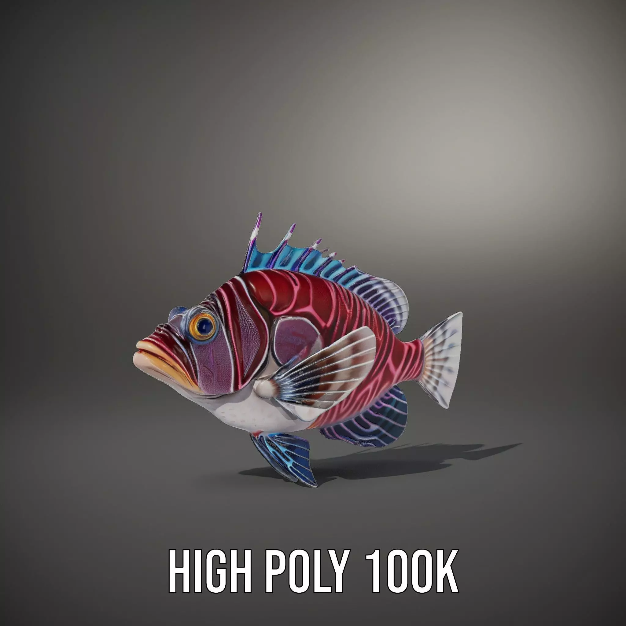 Vibrant Fish model pack Low-poly 3D model_10