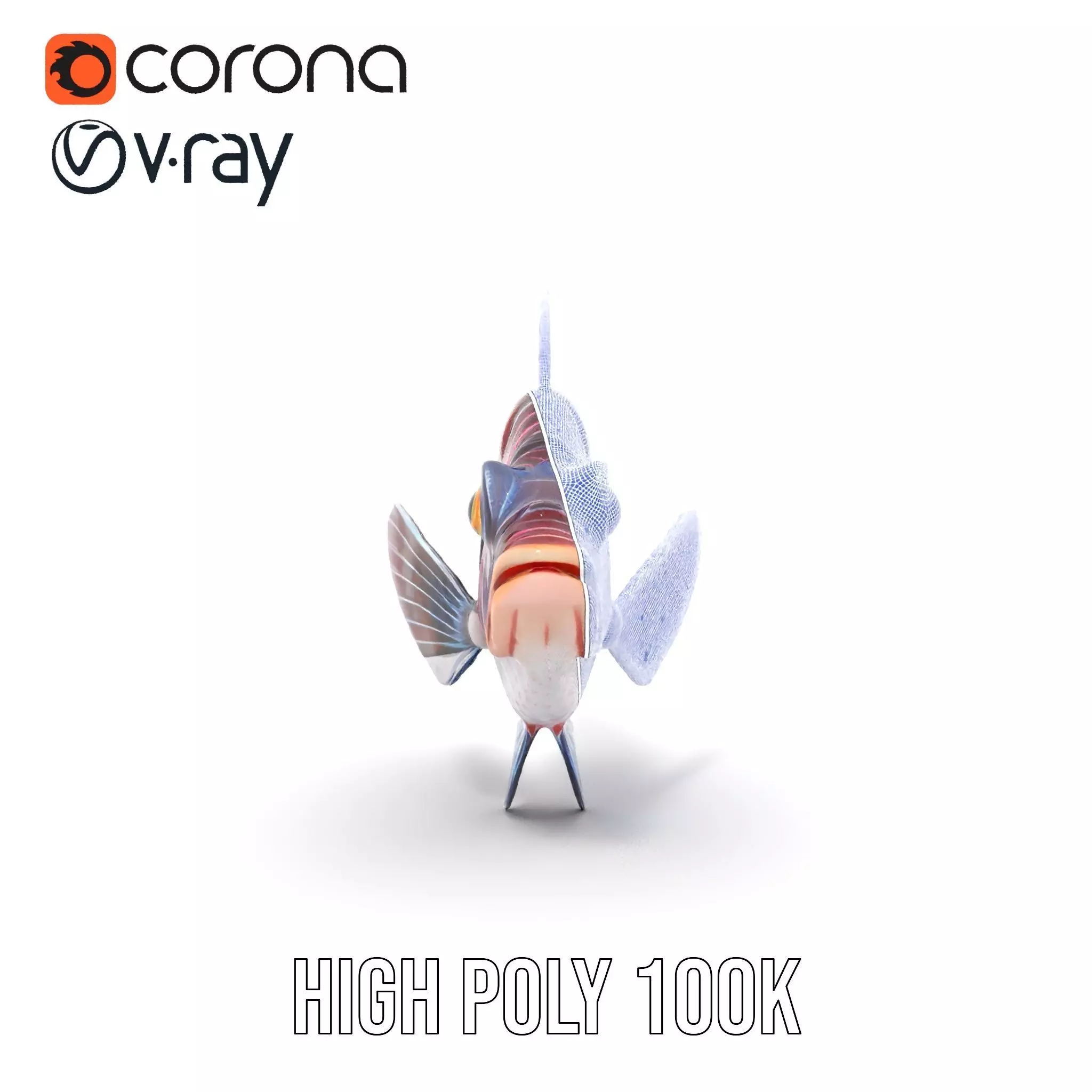 Vibrant Fish model pack Low-poly 3D model_33
