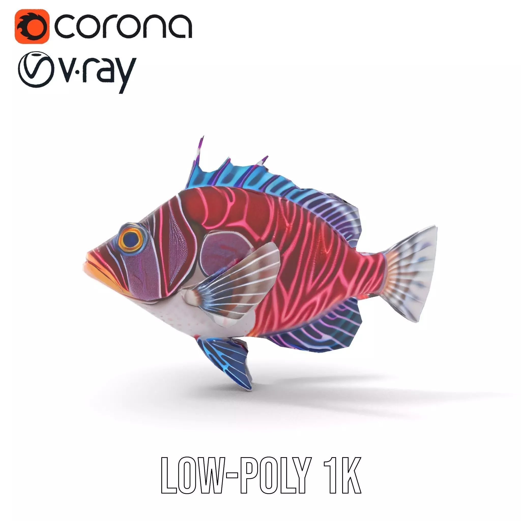 Vibrant Fish model pack Low-poly 3D model_9