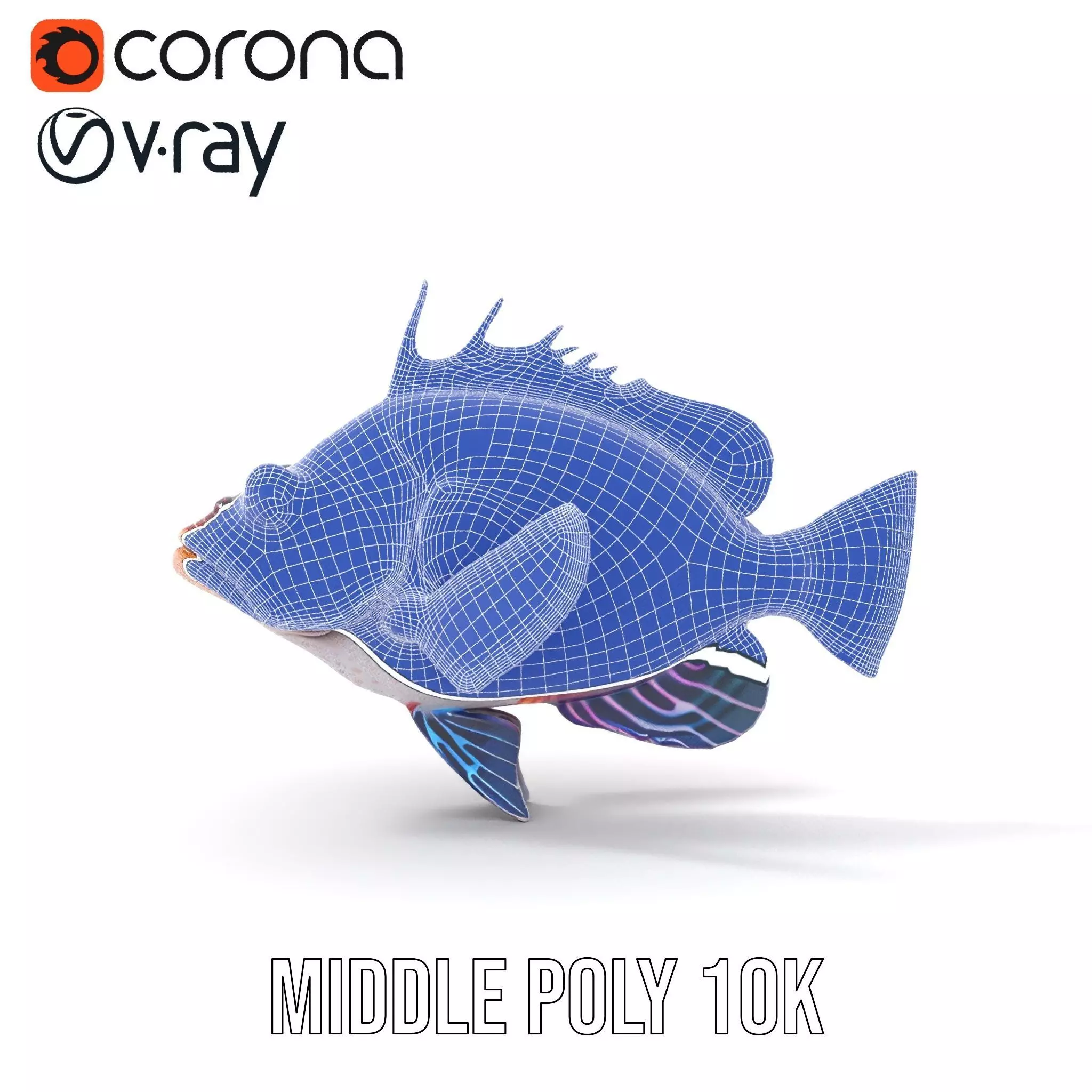 Vibrant Fish model pack Low-poly 3D model_26