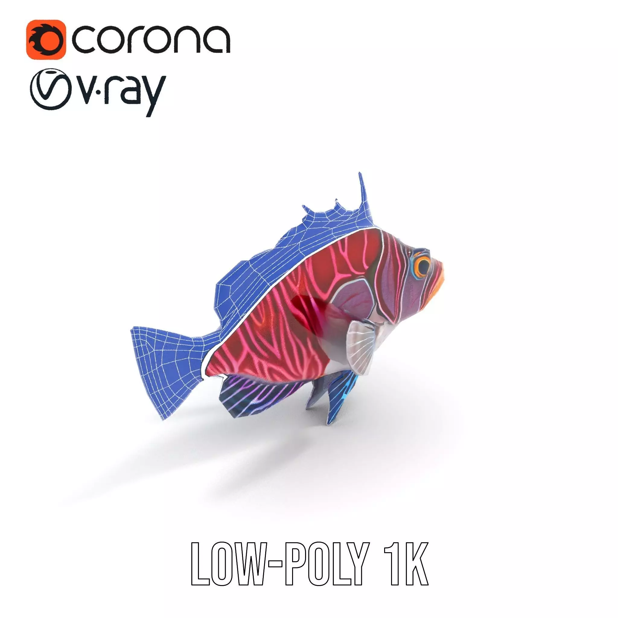 Vibrant Fish model pack Low-poly 3D model_27