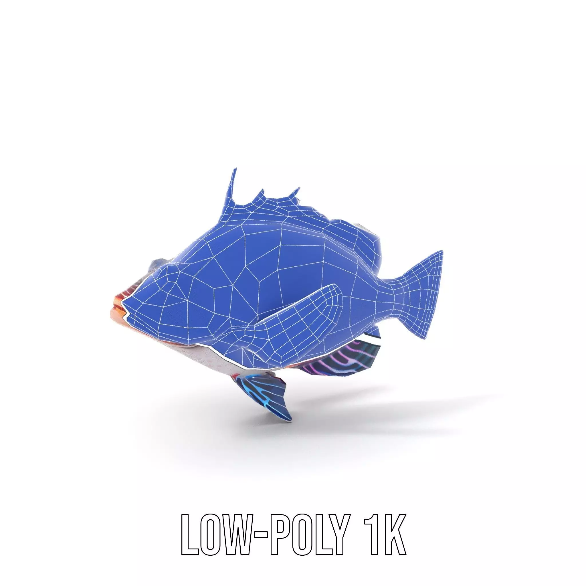 Vibrant Fish model pack Low-poly 3D model_21