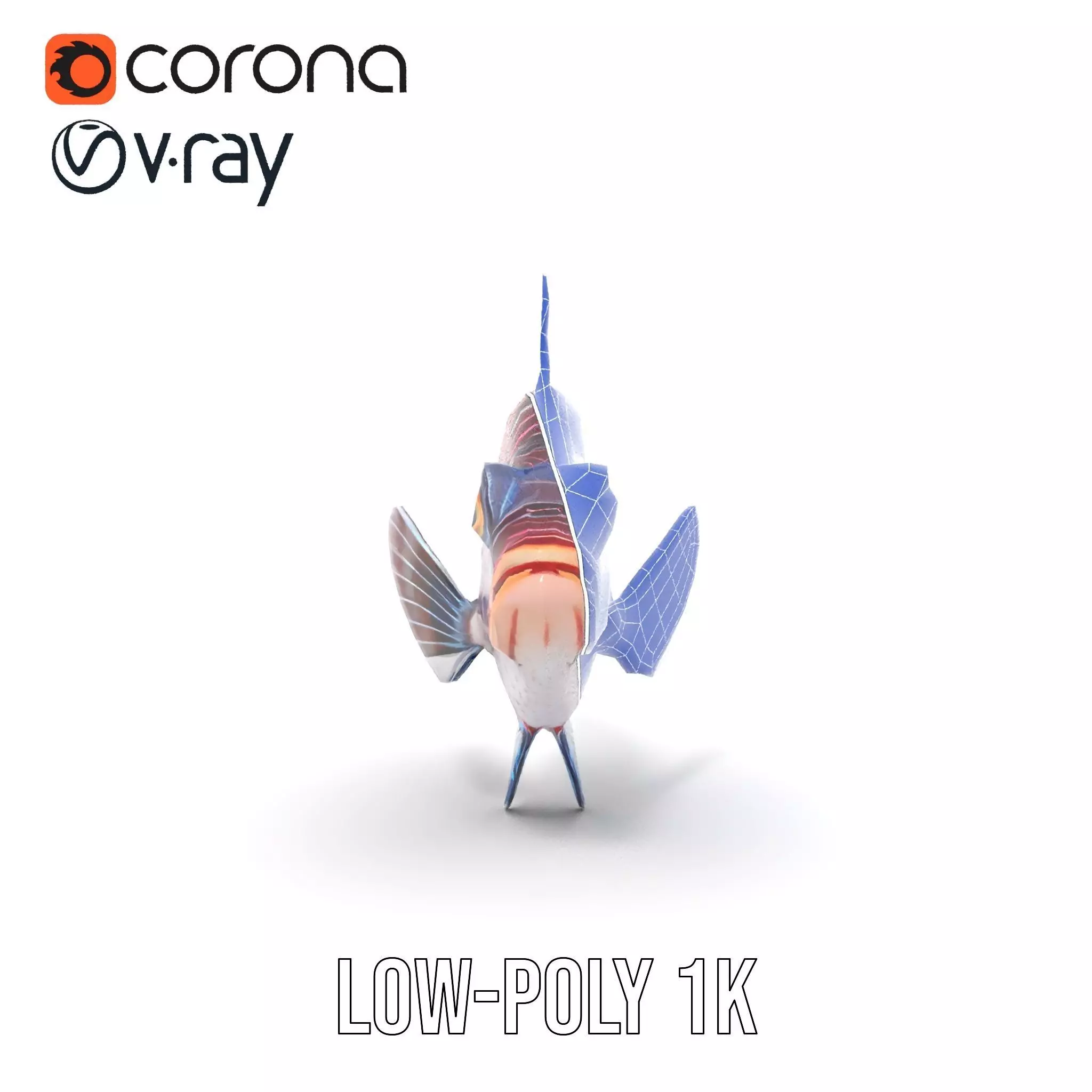 Vibrant Fish model pack Low-poly 3D model_19