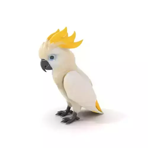 Majestic White Cockatoo model pack Low-poly 3D model