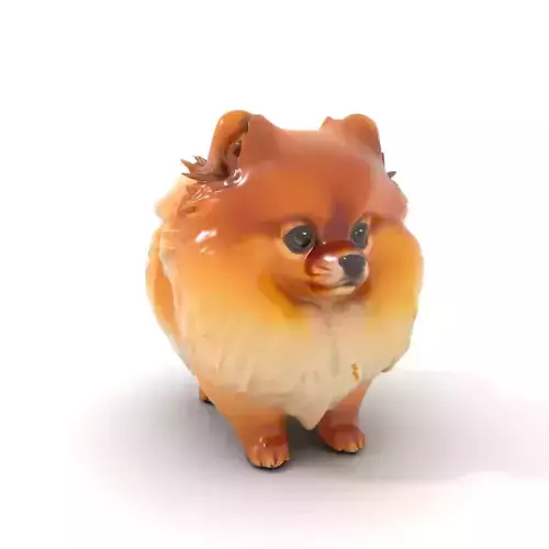 Fluffy Pomeranian Dog model pack Low-poly 3D model