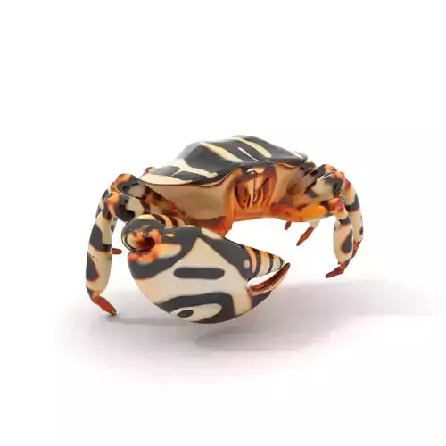 Striped Crab Creature model pack Low-poly 3D model