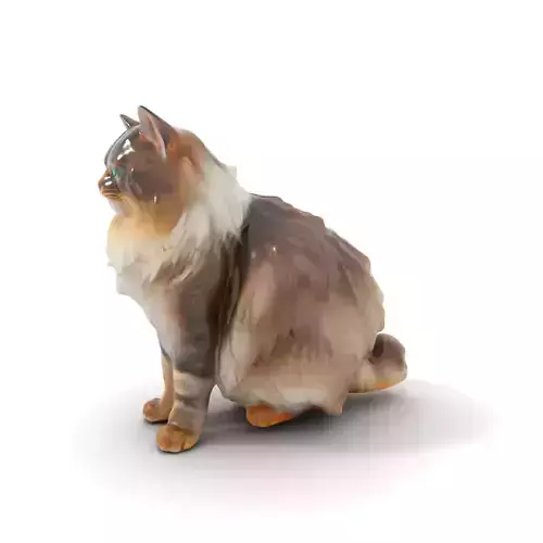 Fluffy Siberian Cat model pack Low-poly 3D model