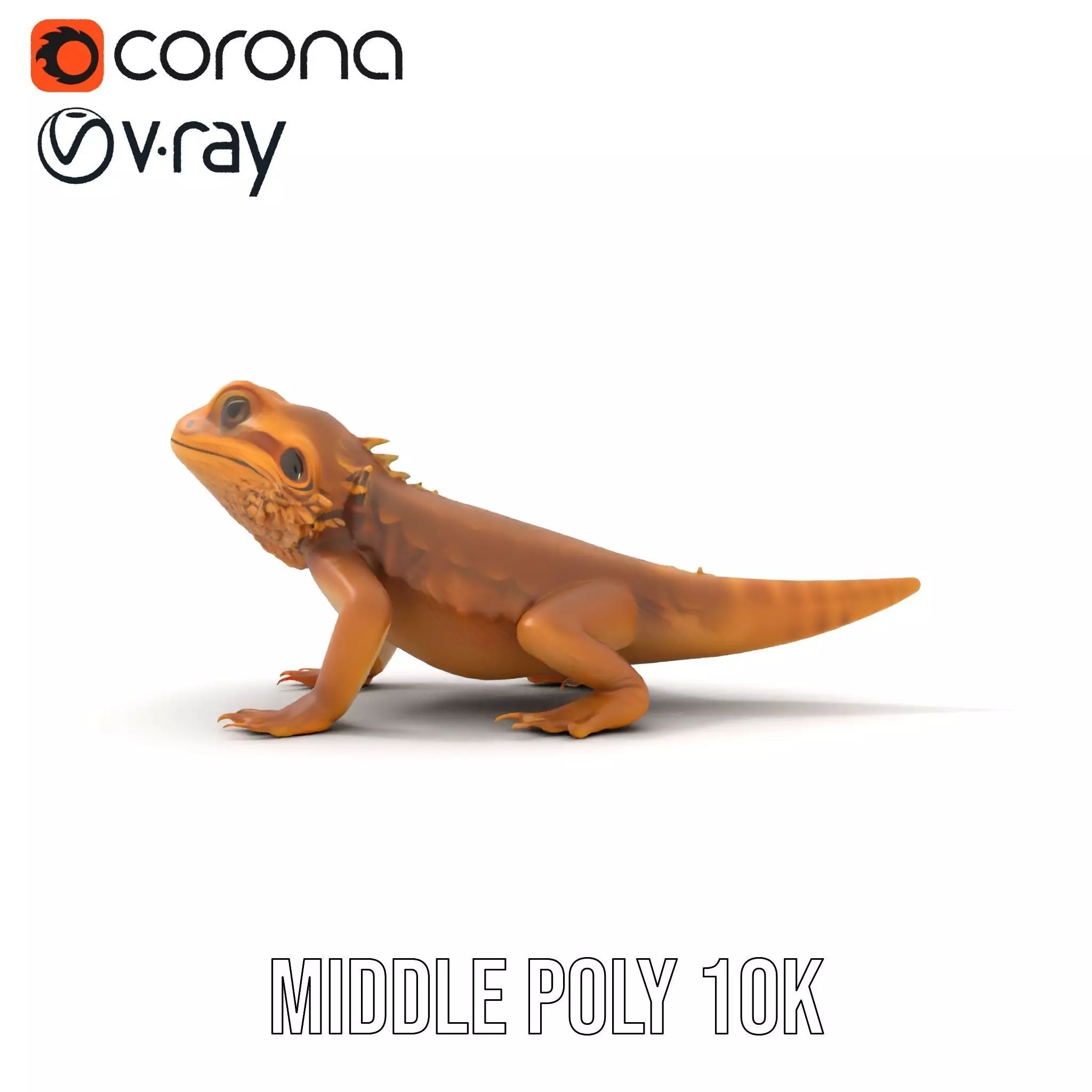 Golden Bearded Dragon model pack Low-poly 3D model_11
